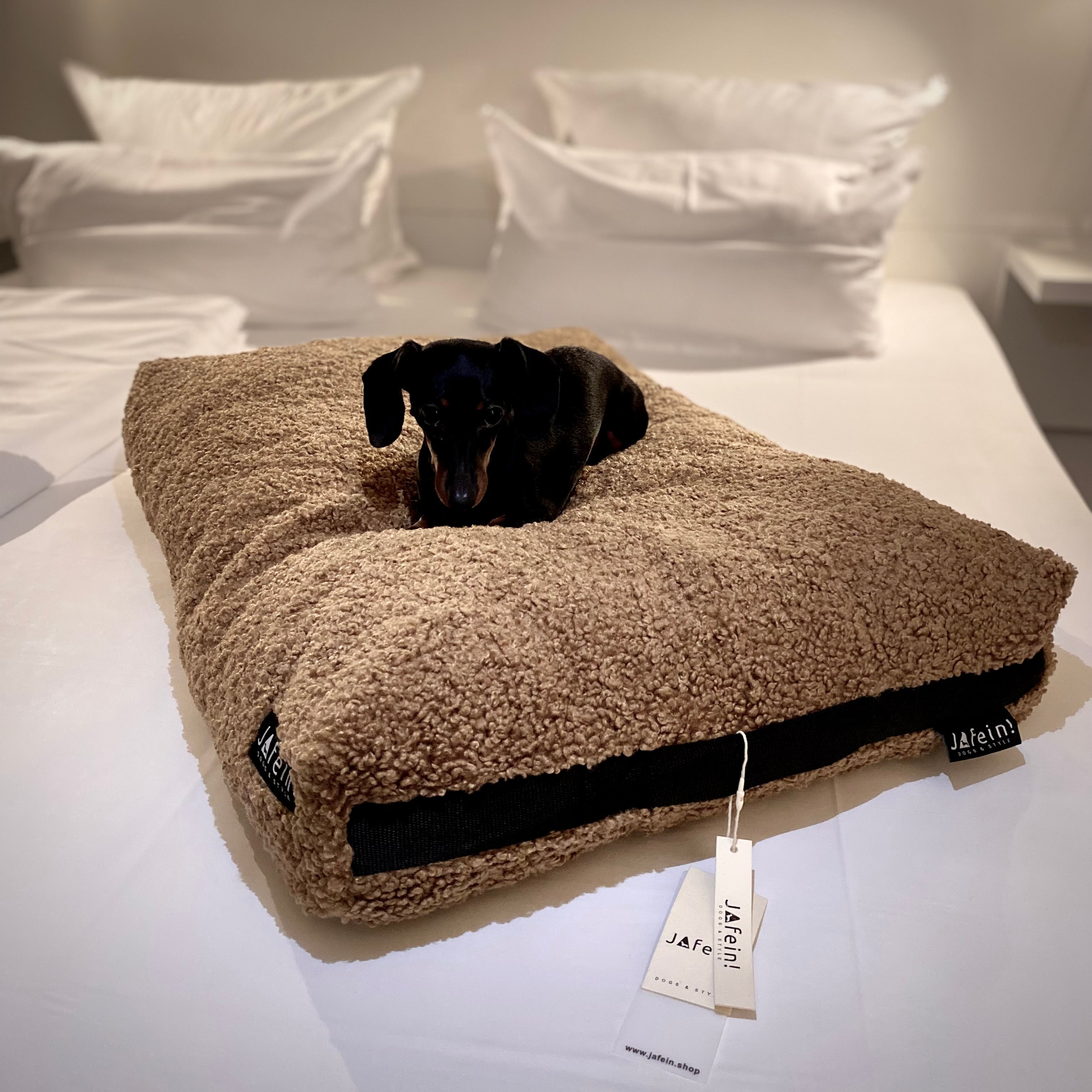 Hundekissen Groß | Hundekissen Chillout | JAfein! Dogs & Style