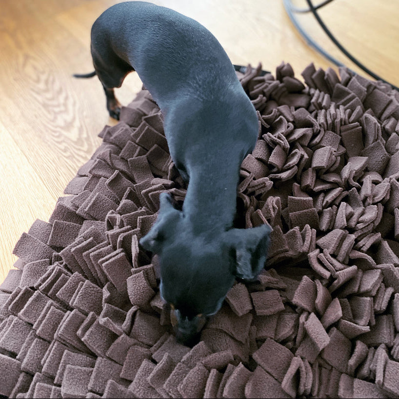 JAfein! Schnüffelteppich