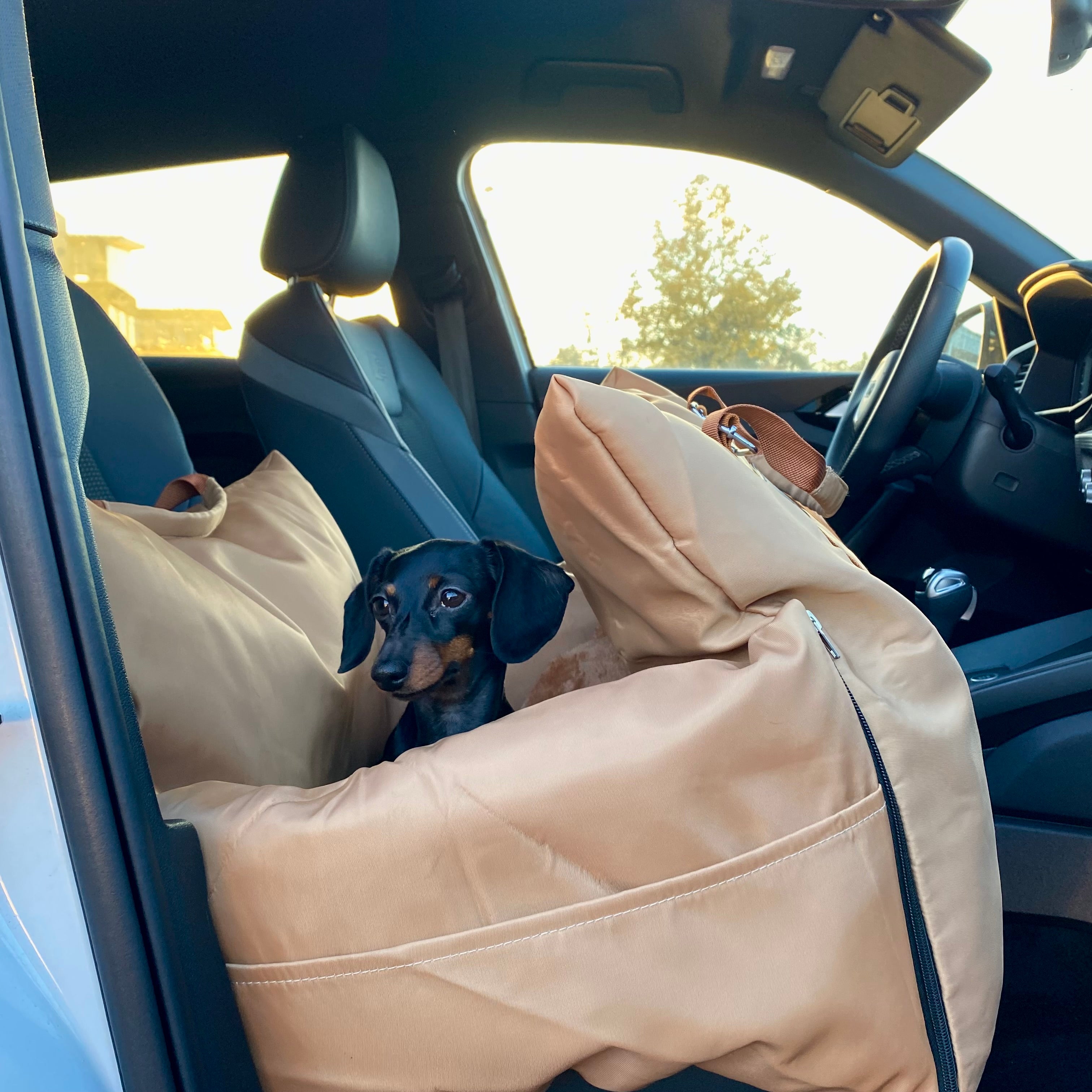 JAfein! Hundeautositz Toulouse Tour tragbar Camel