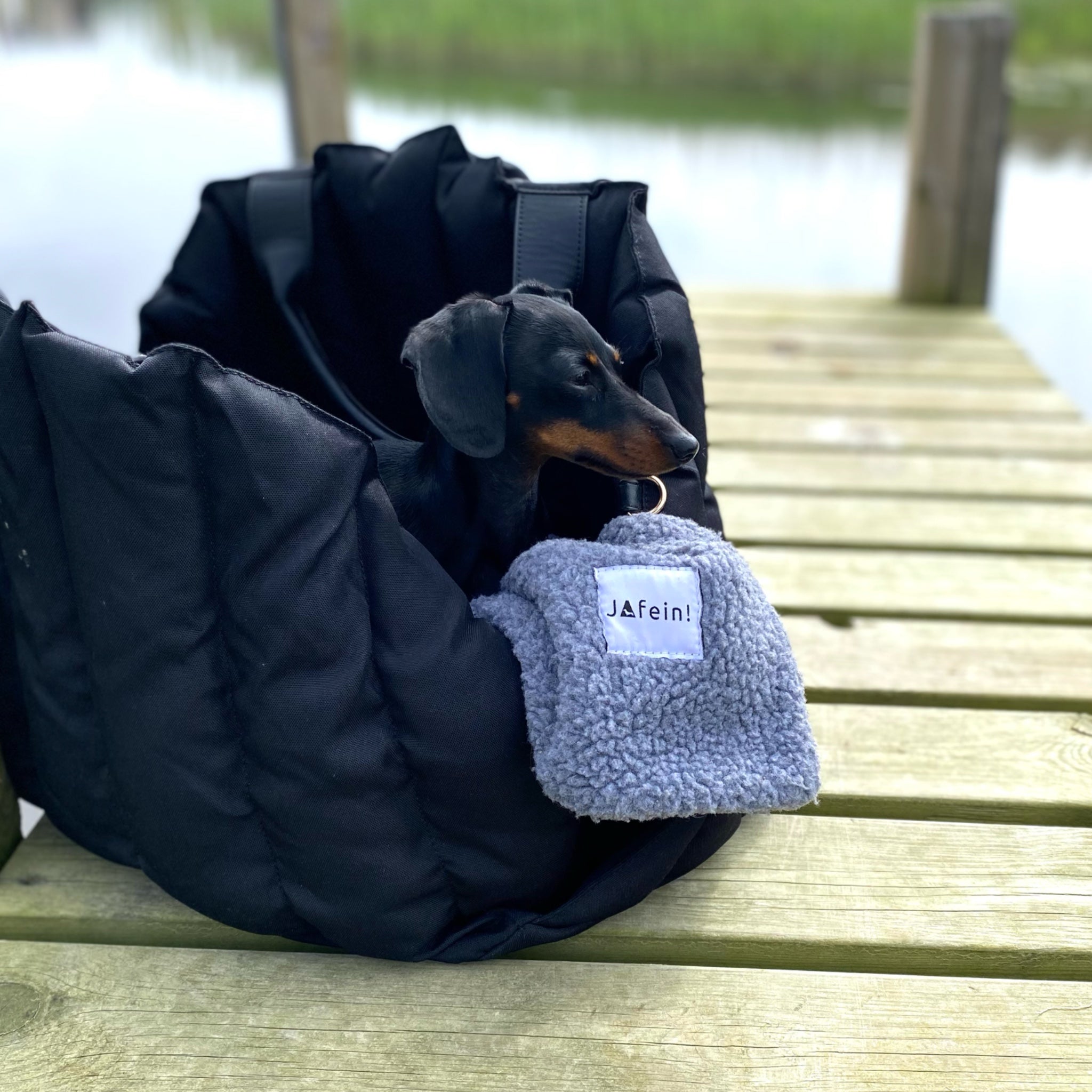 JAfein! Hundetasche Car Paris Schwarz