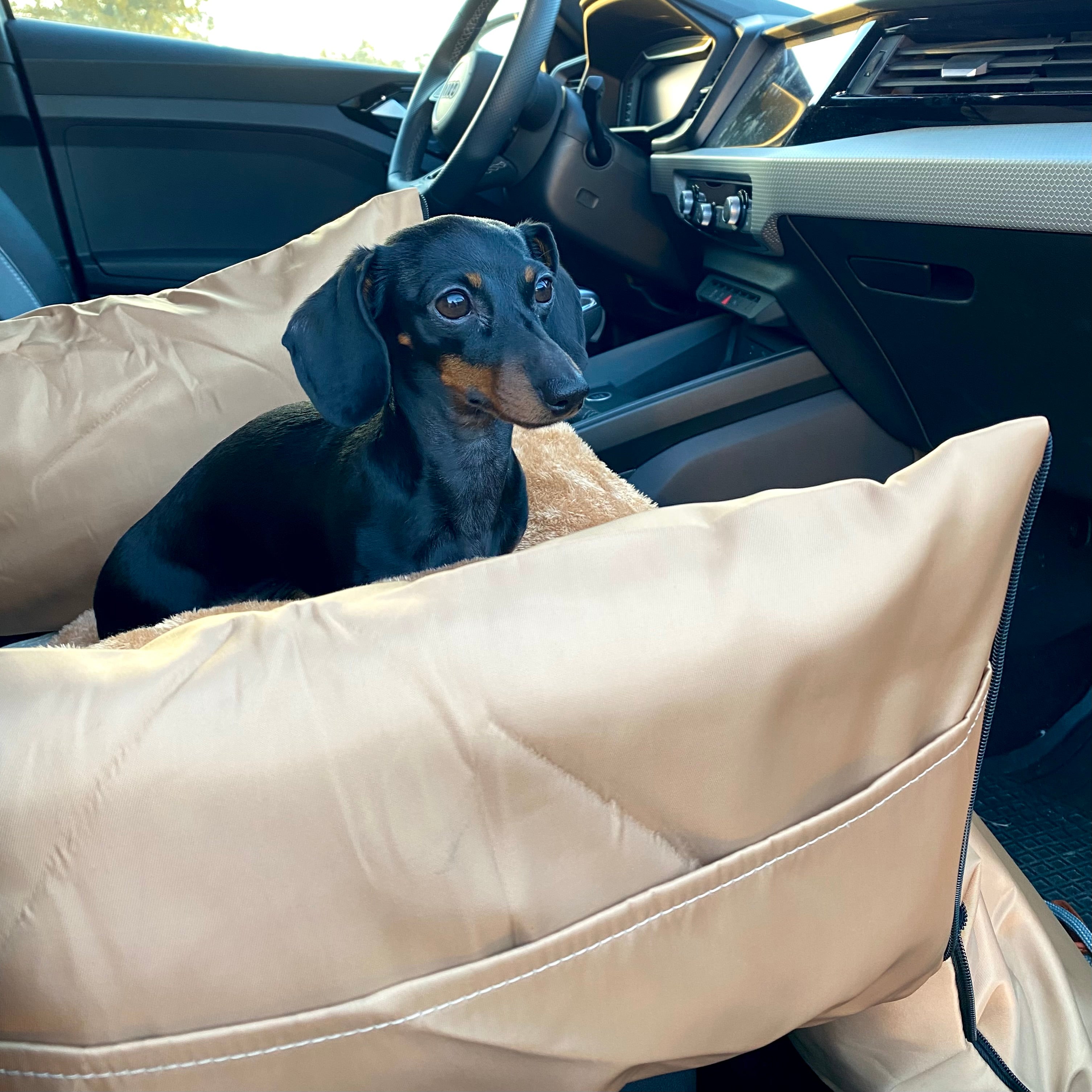 JAfein! Hundeautositz Toulouse Tour tragbar Greige