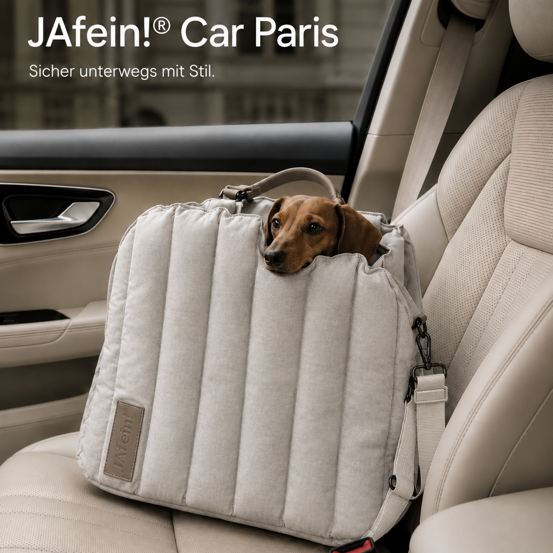JAfein! Dog bag Car Paris