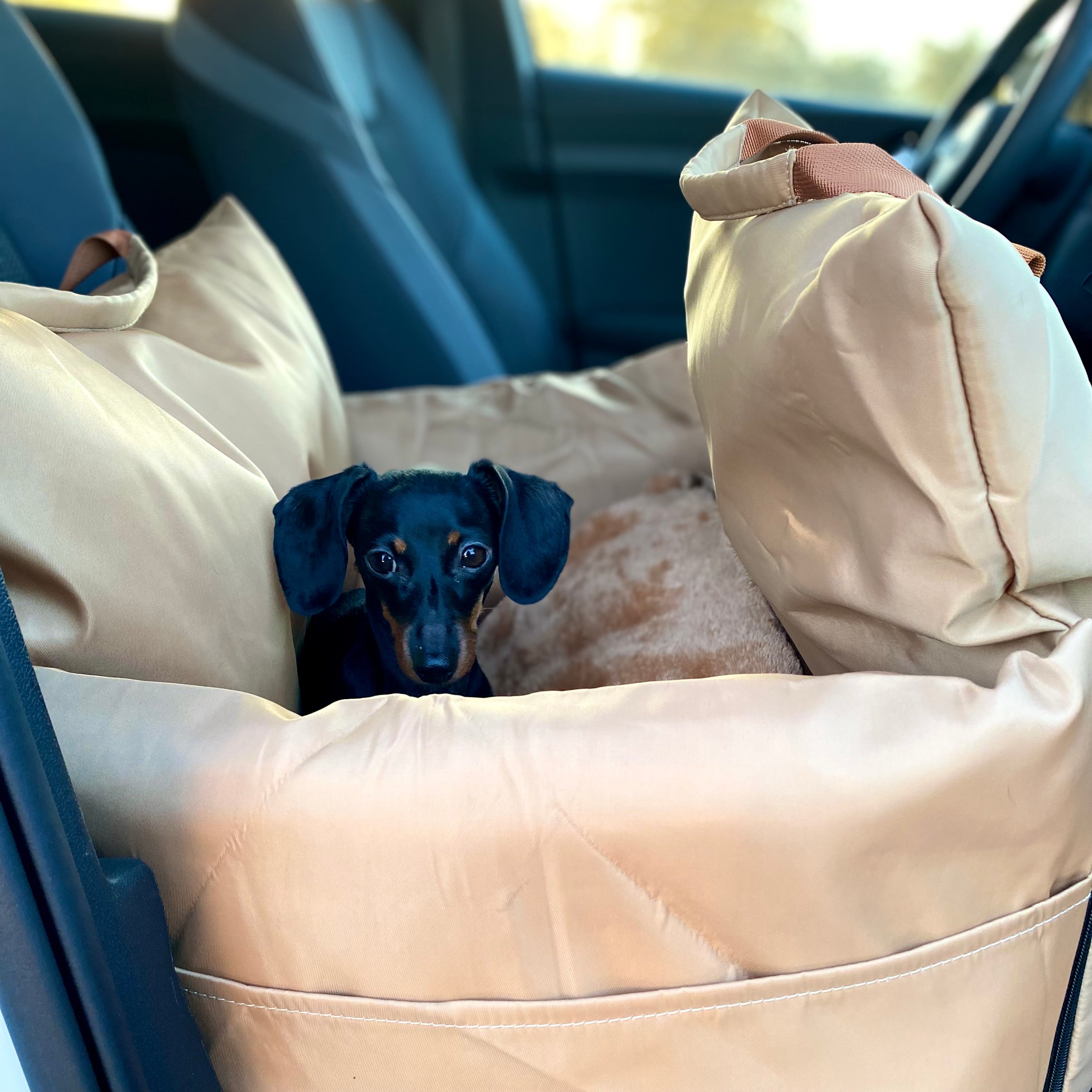 JAfein! Hundeautositz Toulouse Tour tragbar Camel