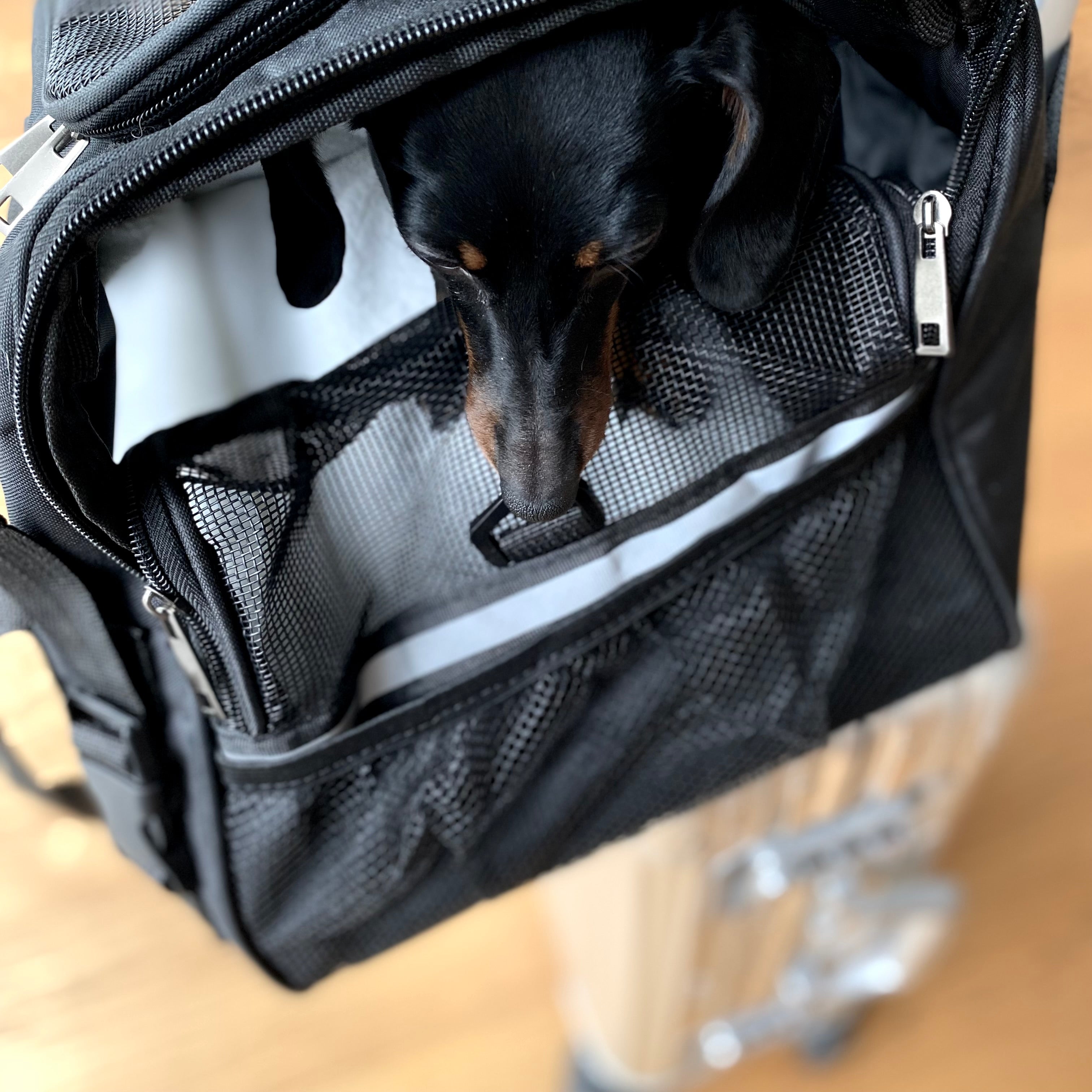 JAfein! Hundereisetasche Fly Bag Air Schwarz