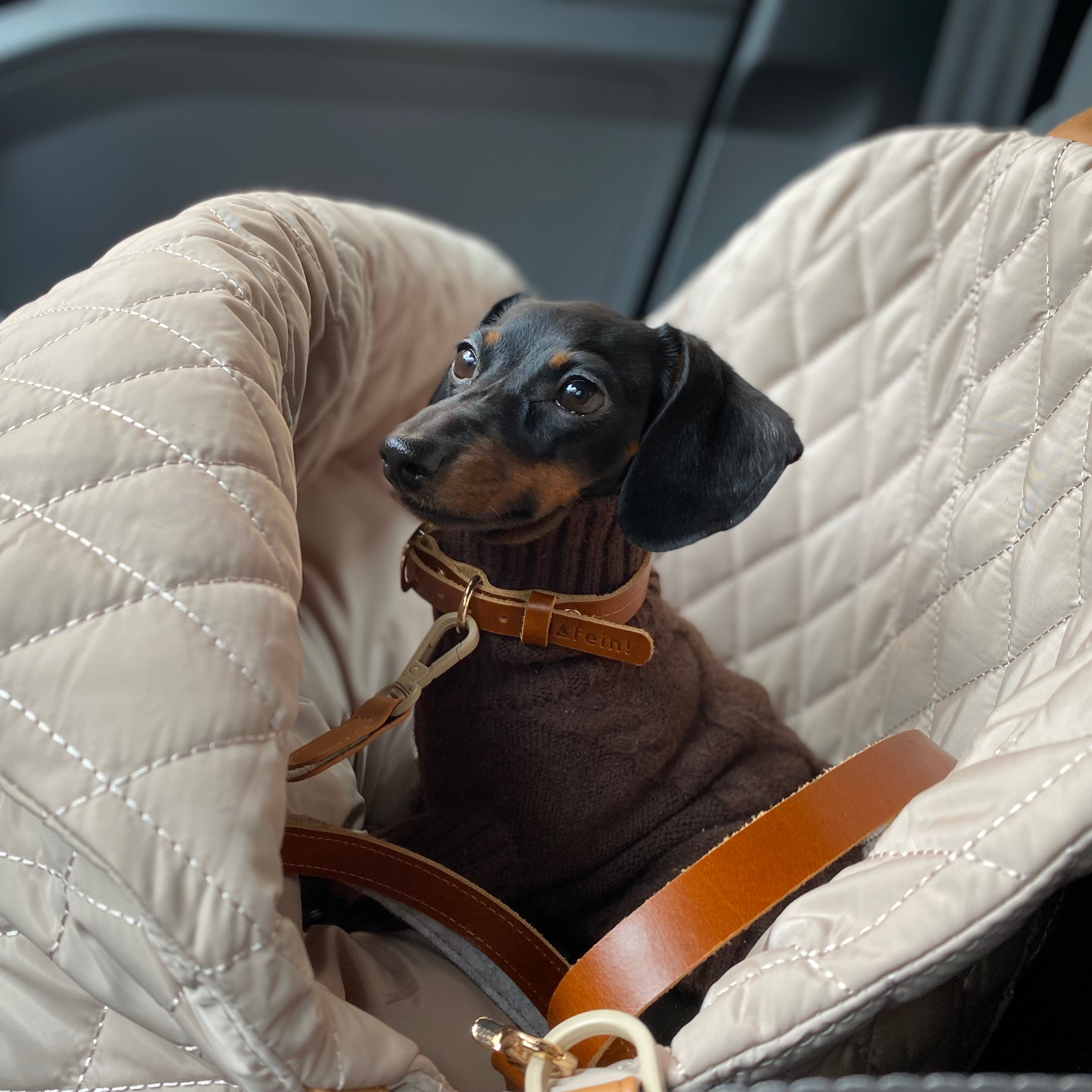 JAfein! Hundetasche Car Elegante Greige