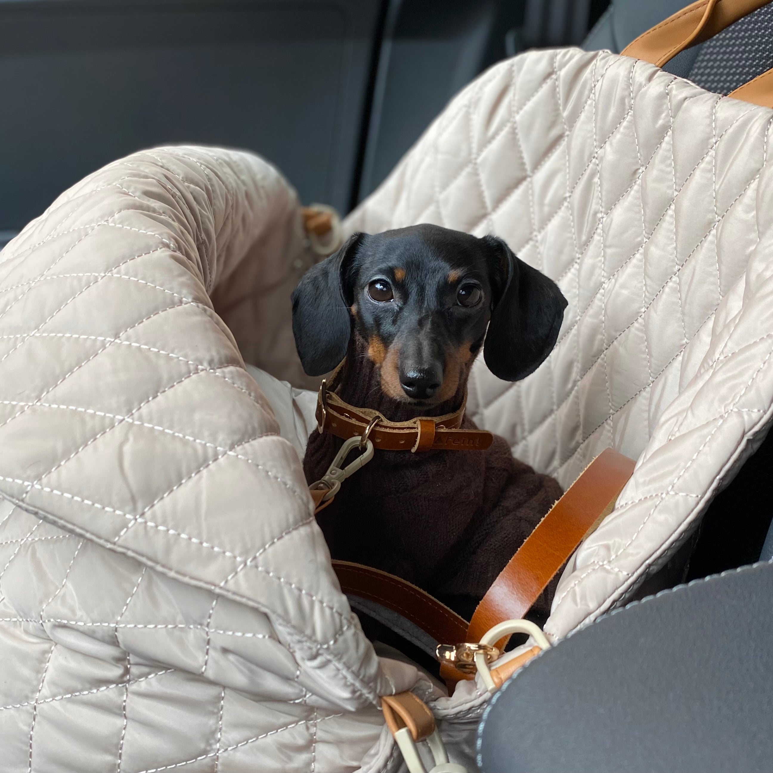 JAfein! Hundetasche Car Elegante Greige