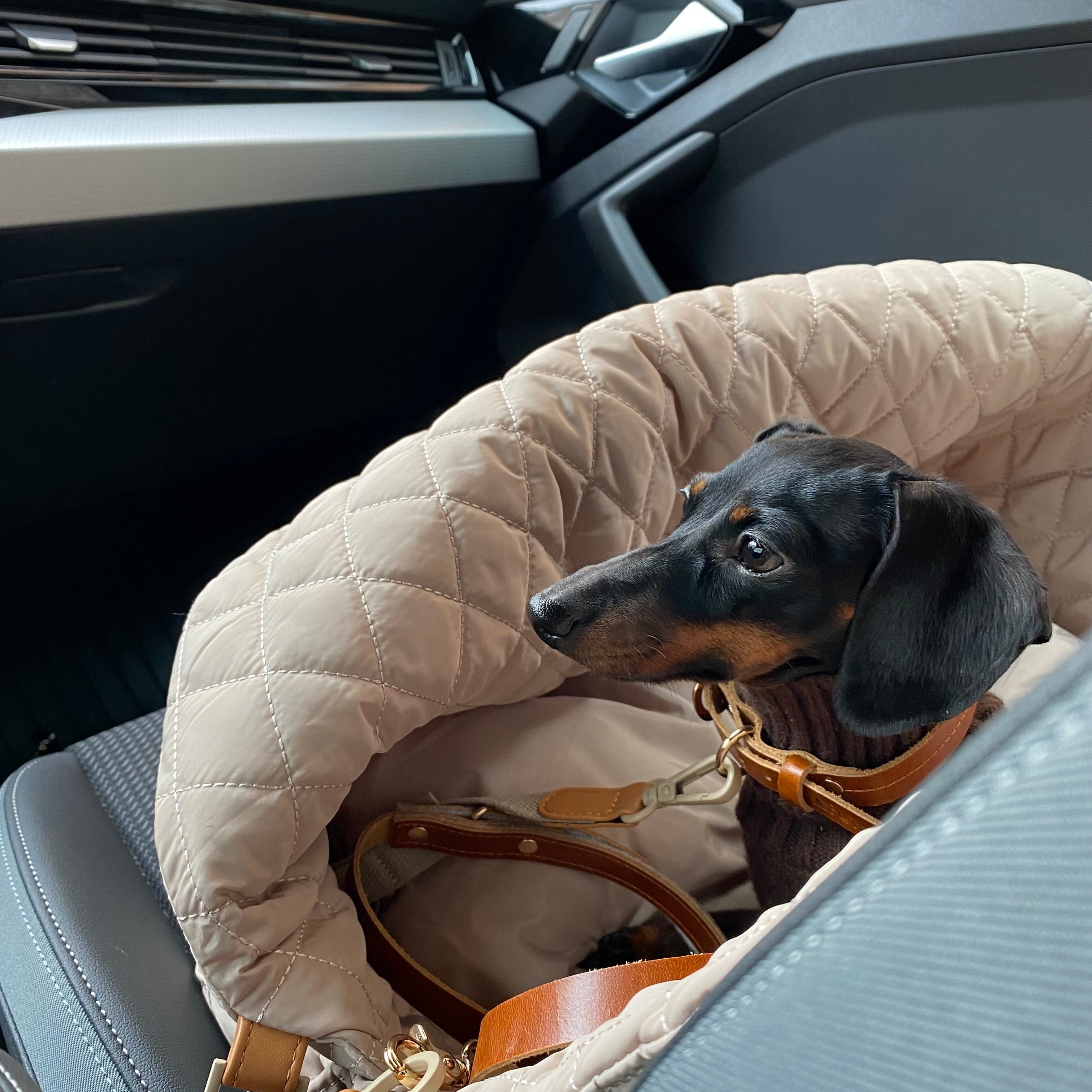 JAfein! Hundetasche Car Elegante Greige
