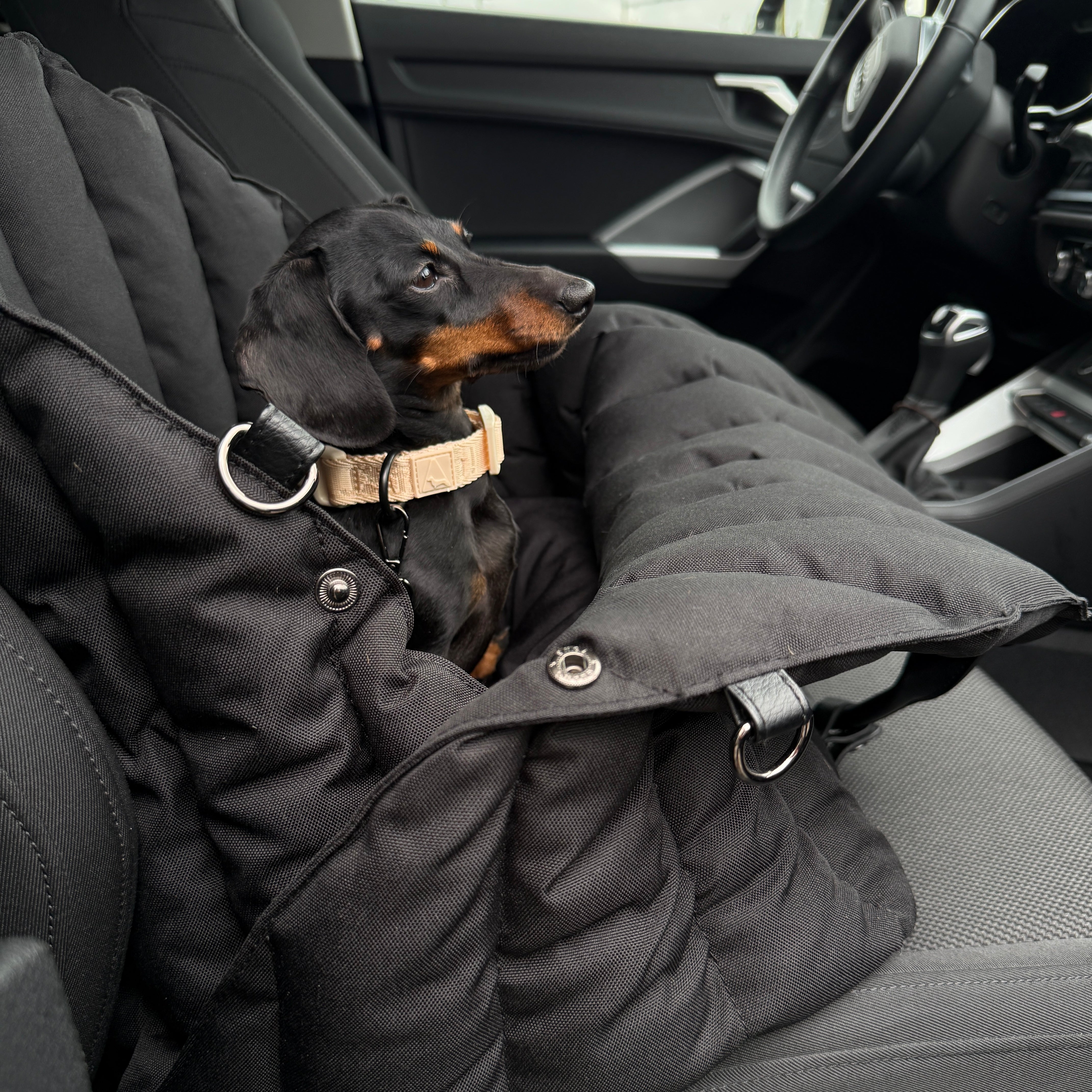 JAfein! Car Paris Black Dog Carrier