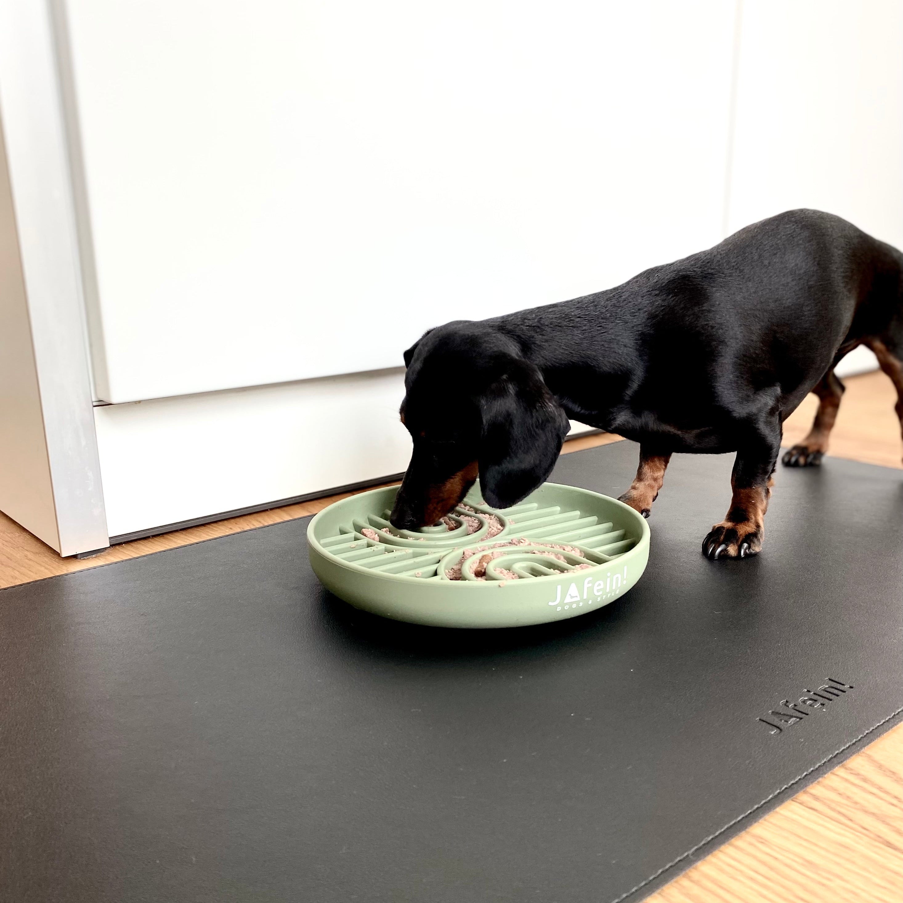 JAfein! Schleckteller Calme Grün