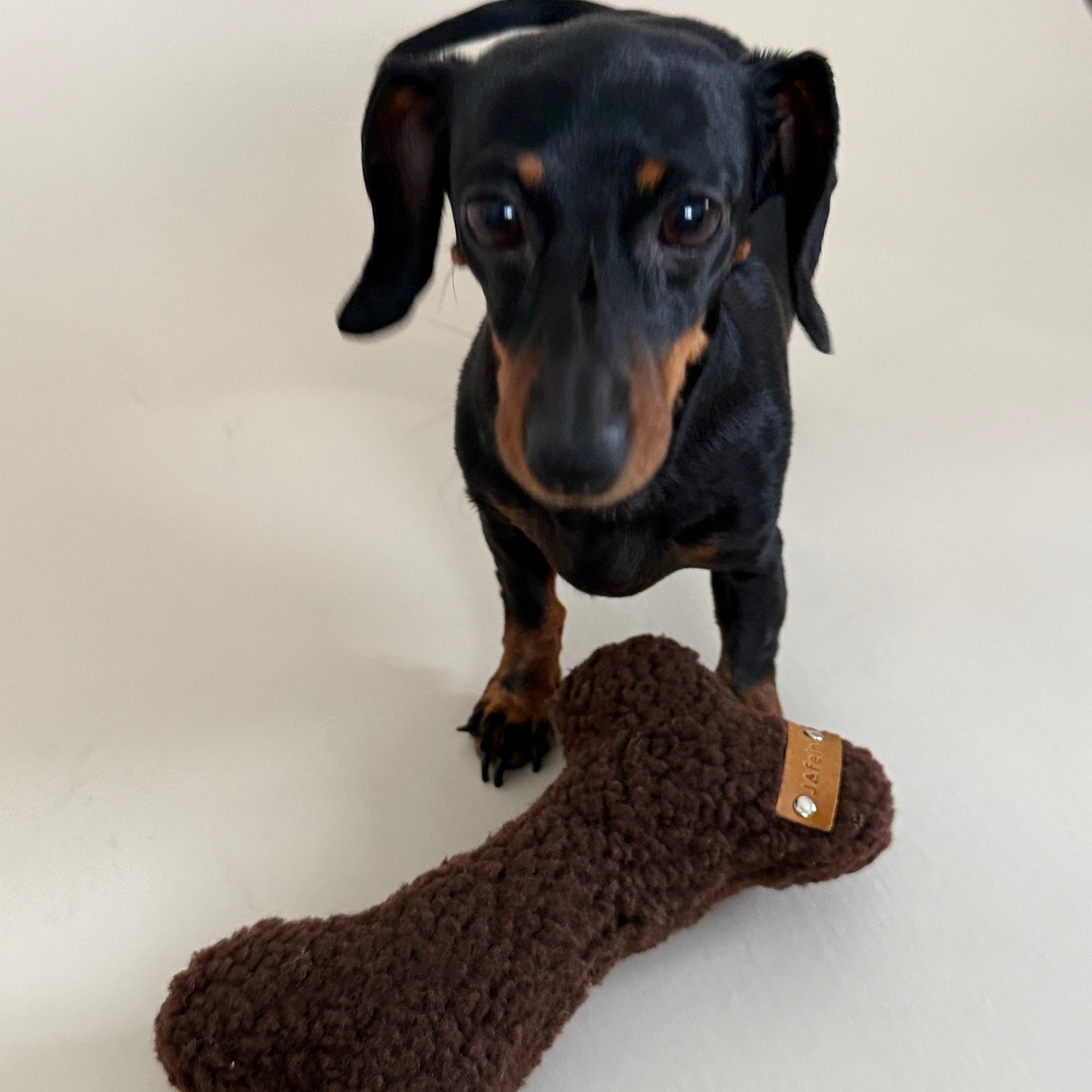 JAfein! Spielknochen Teddy Chocolat