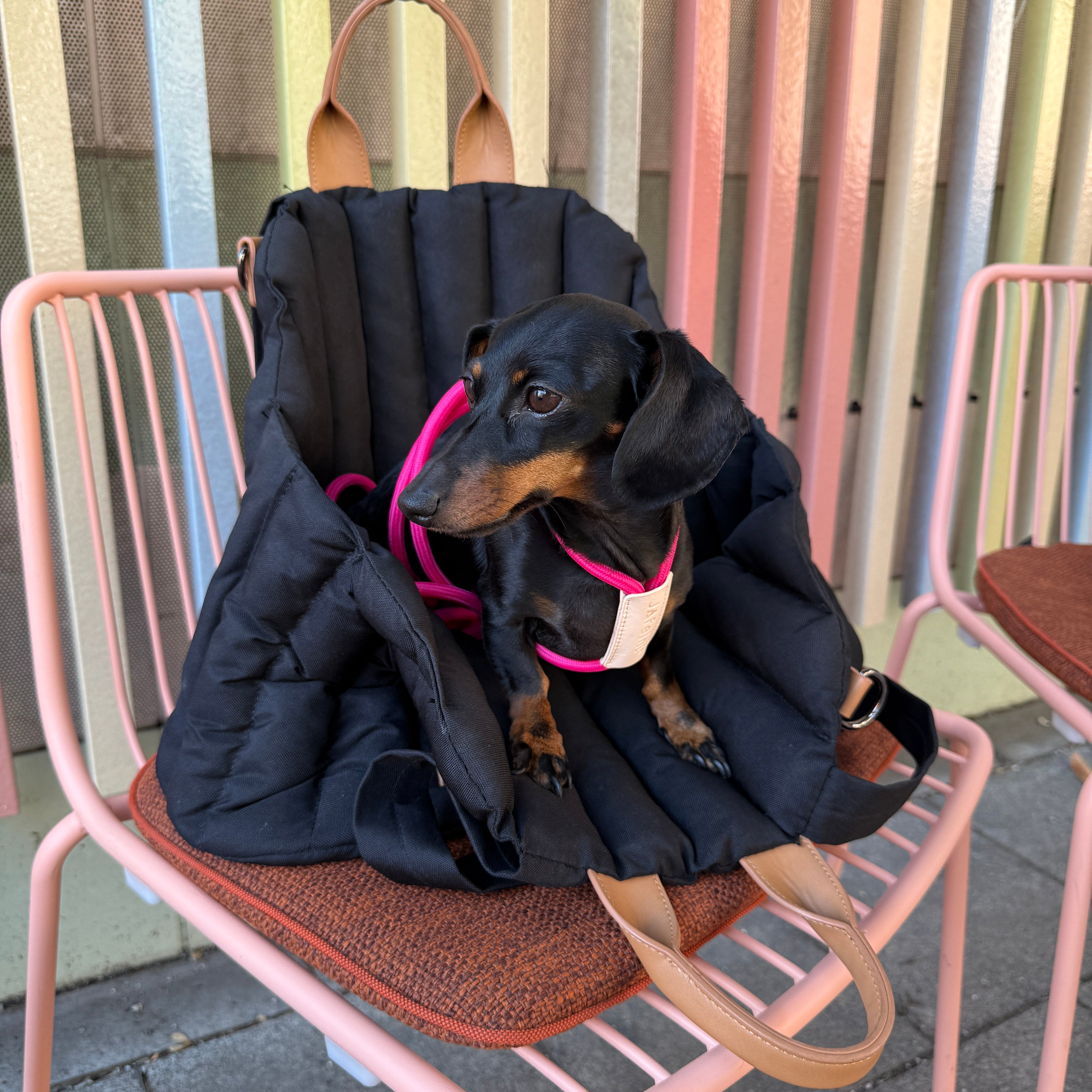 JAfein! LYON – Move Free All-in-One | Leine, Halsband & Geschirr Pink