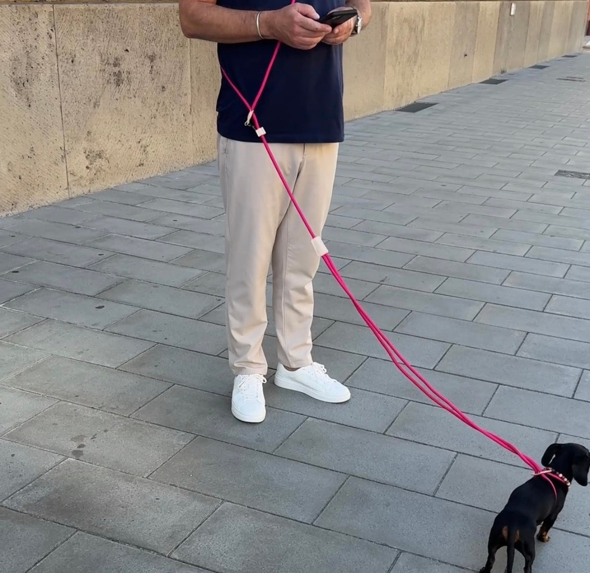 JAfein! Dog leash Lyon
