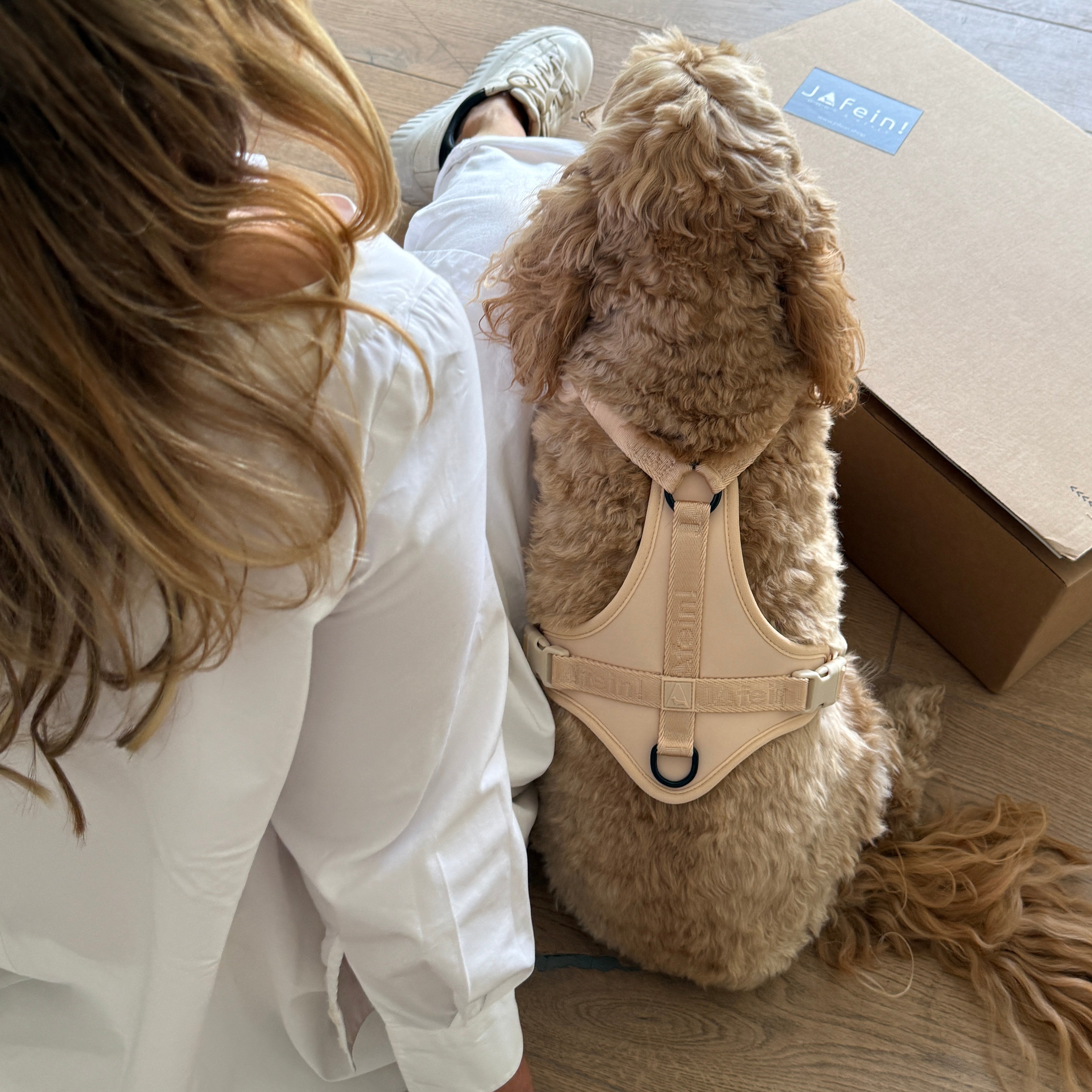 JAfein! Allure - Hundegeschirr - Greige