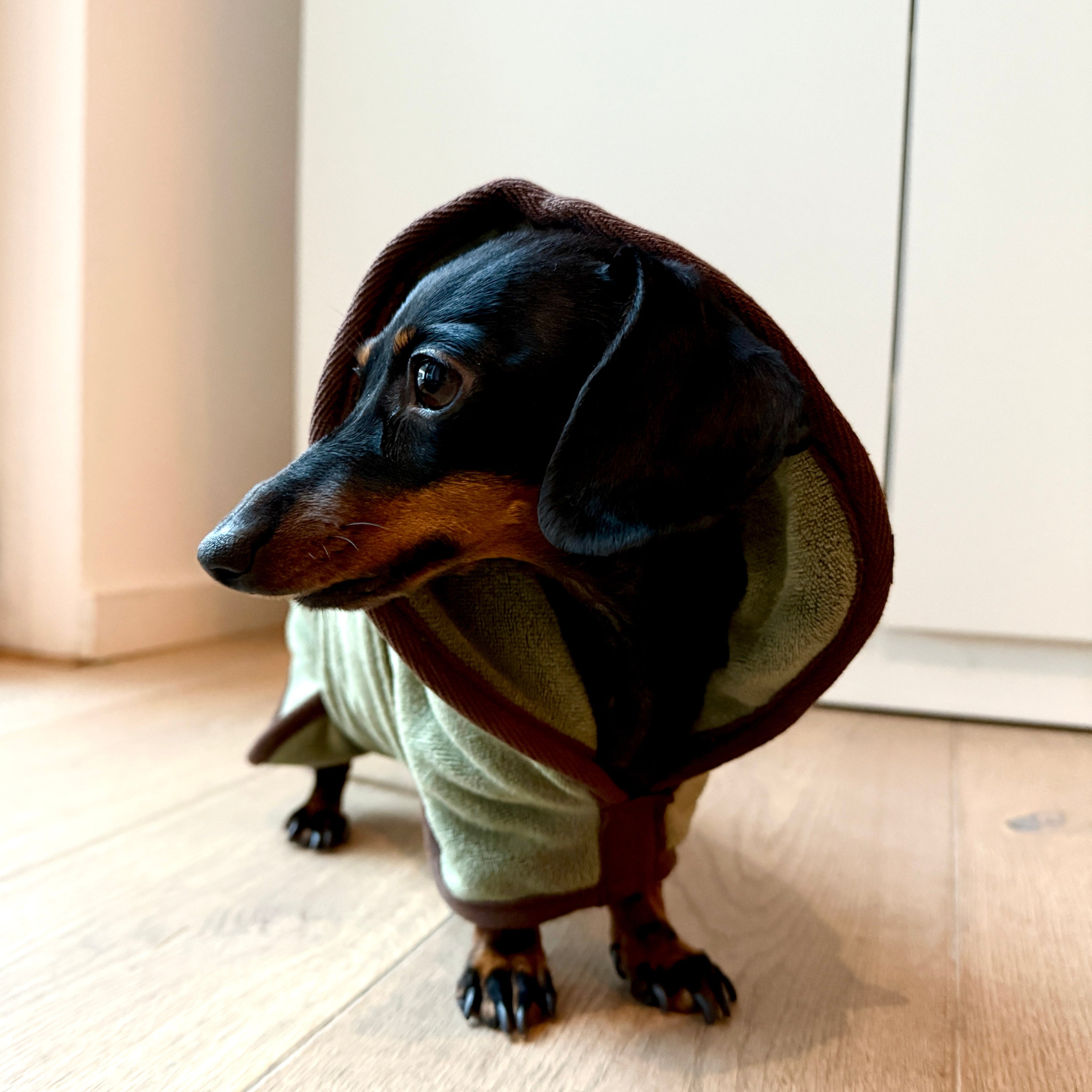 JAfein! Pur Bath Hundebademantel