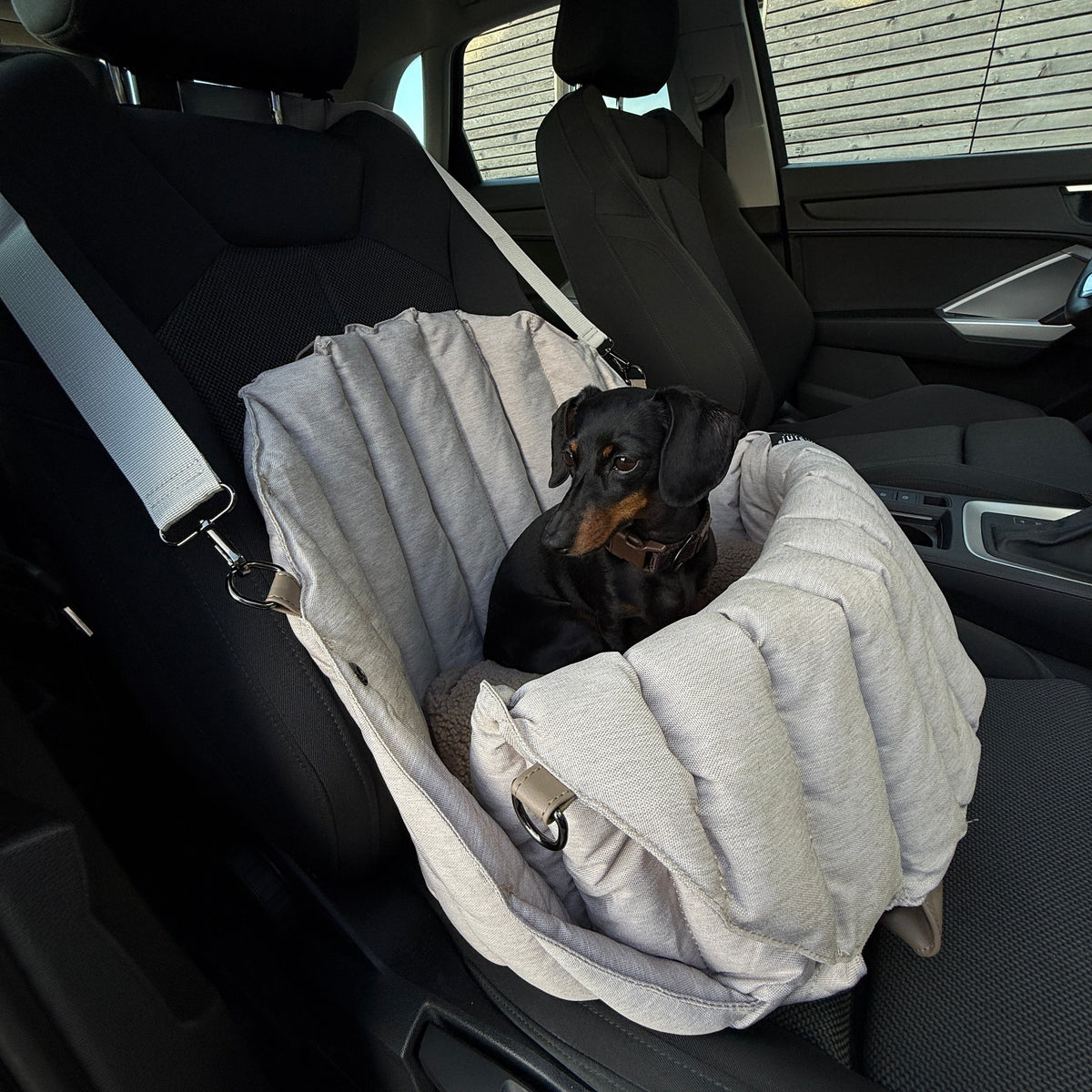 JAfein! Dog bag Car Paris