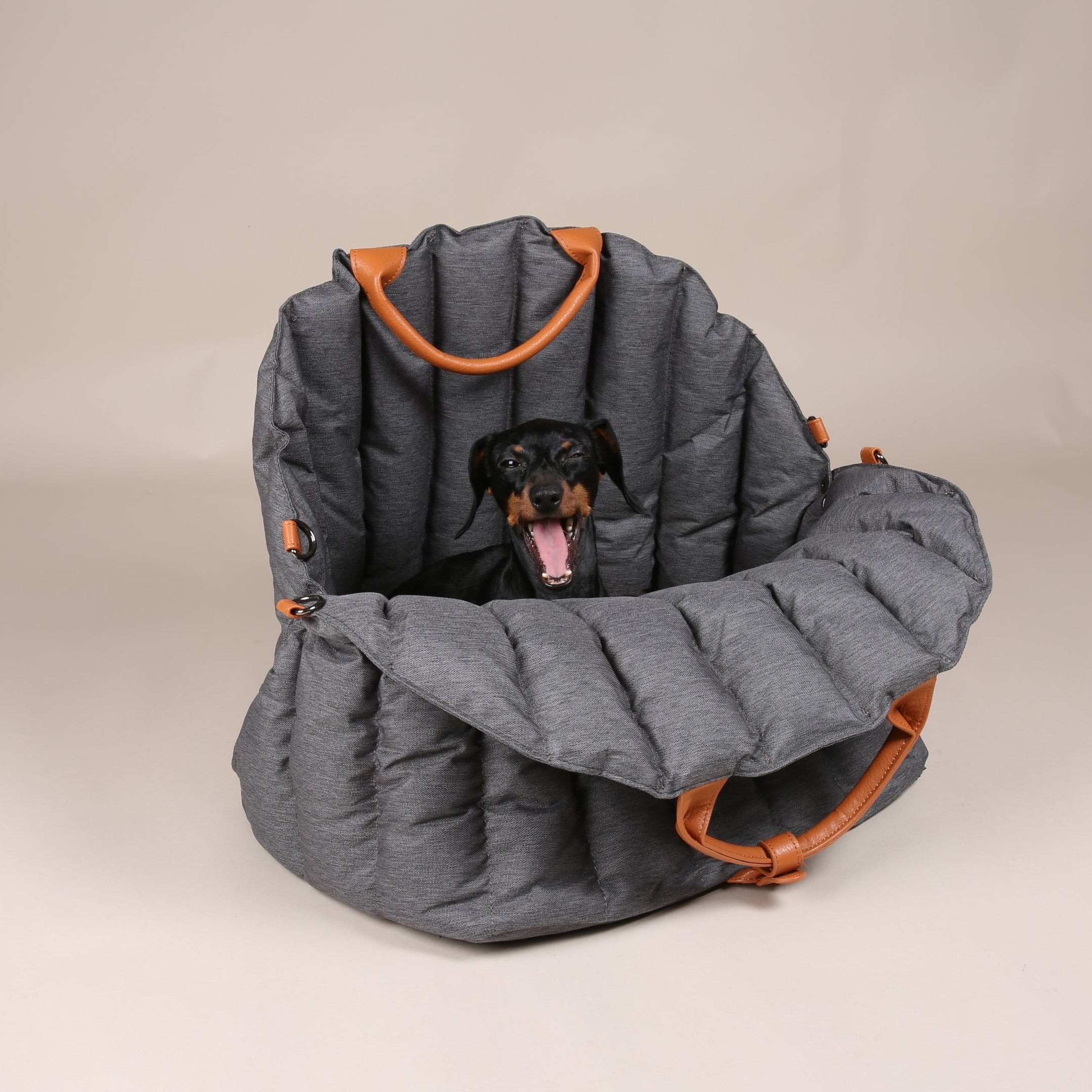 JAfein! Hundetasche Car Paris Grau