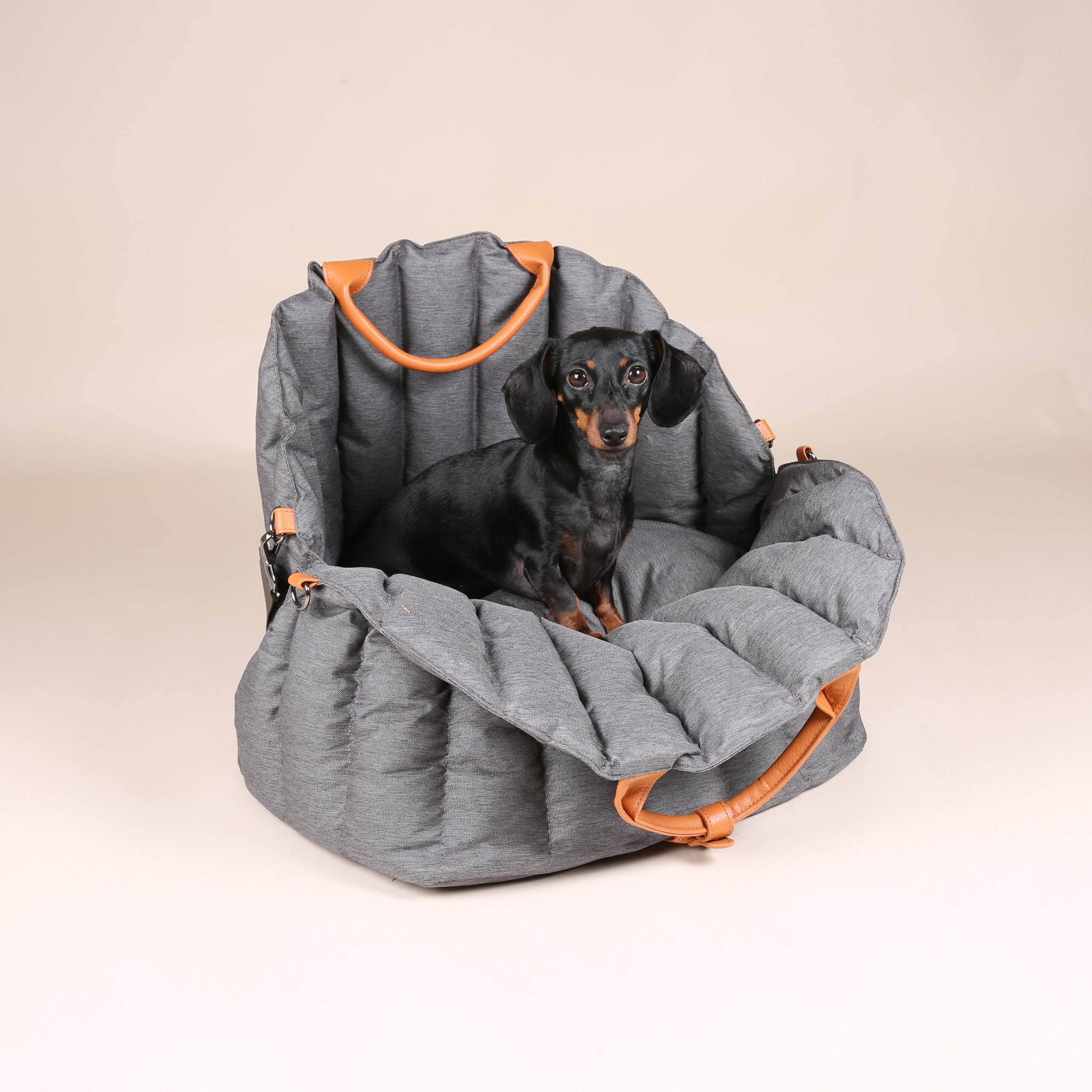 JAfein! Hundetasche Car Paris Grau