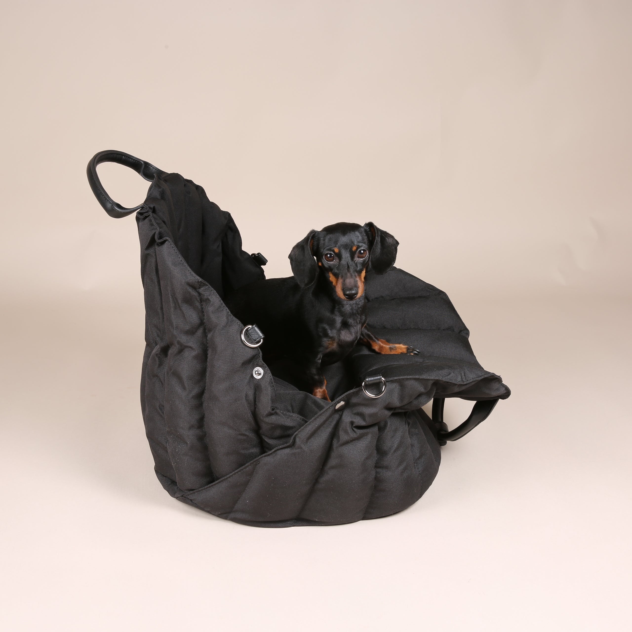 JAfein! Hundetasche Car Paris Schwarz