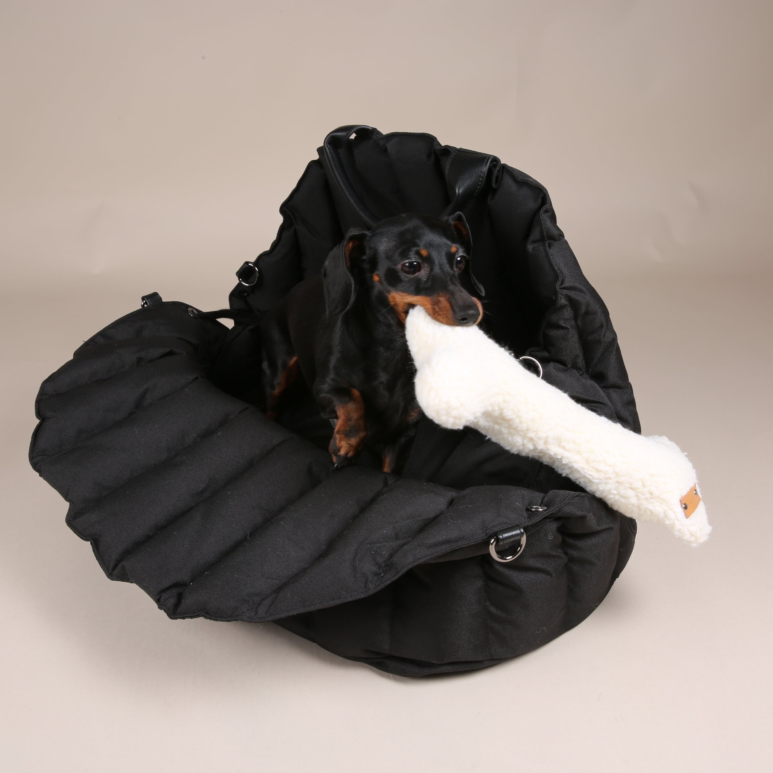 JAfein! Hundetasche Car Paris Schwarz