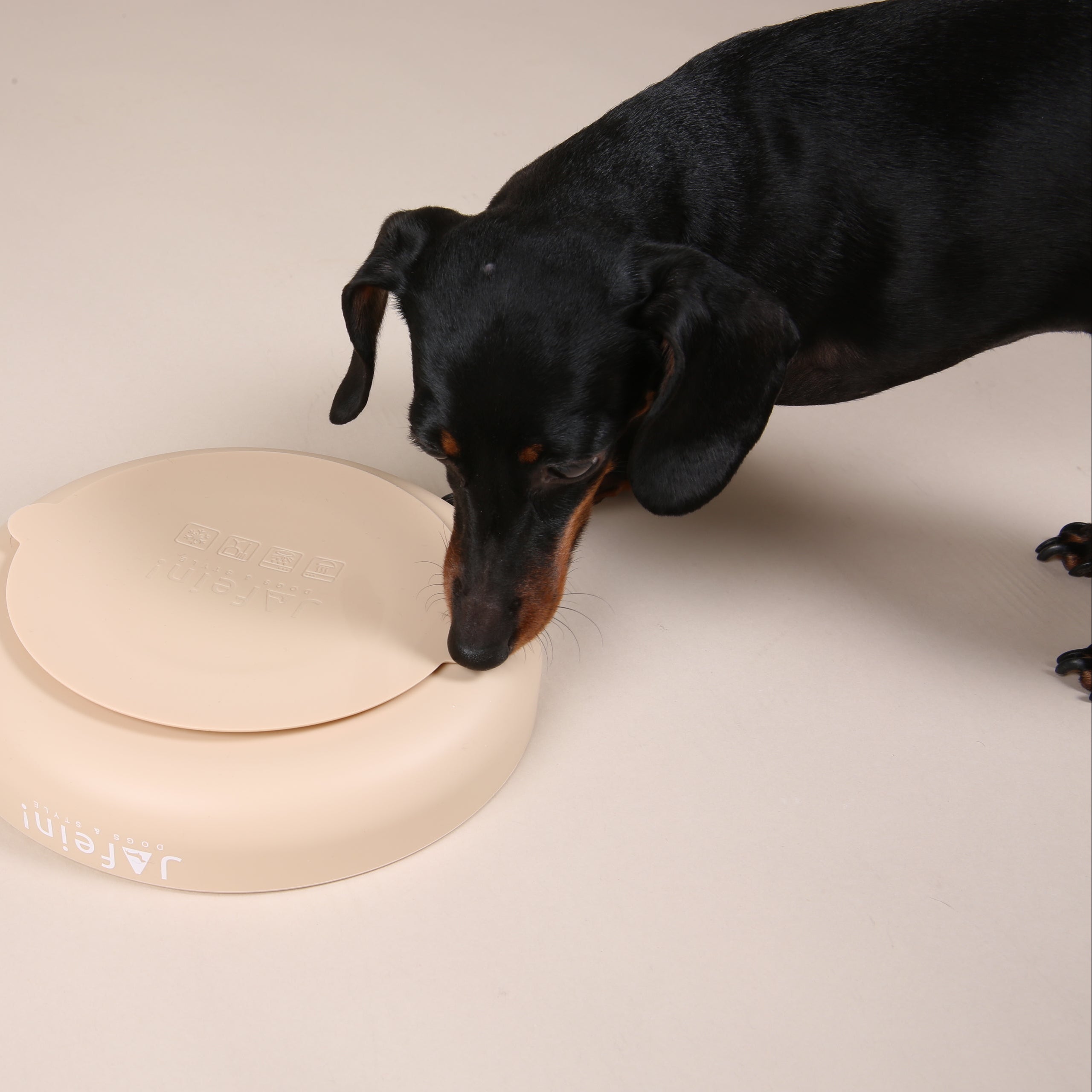 JAfein! Schleckteller Calme Greige