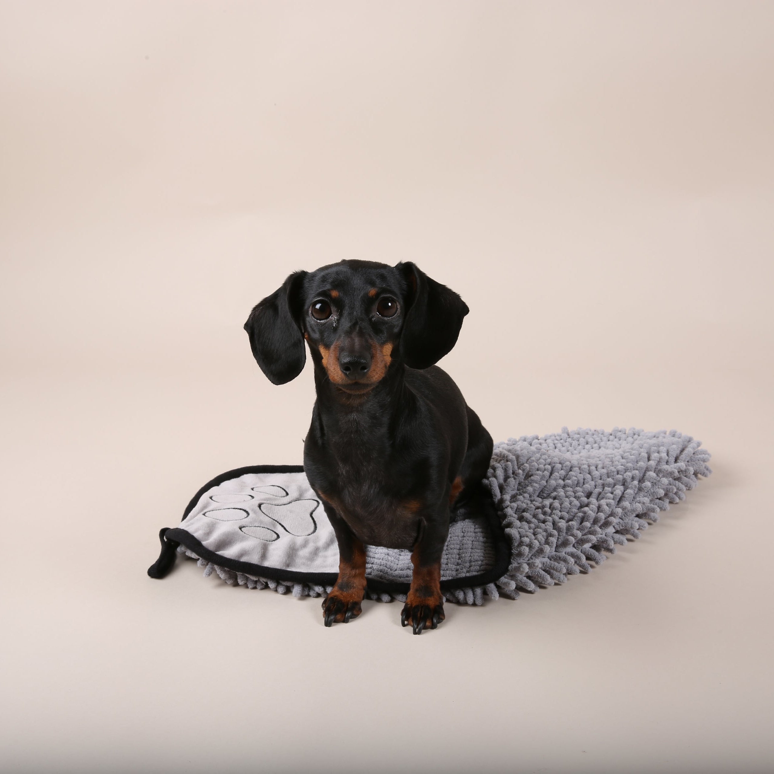 JAfein! Hundehandtuch Mini Spa - Stone