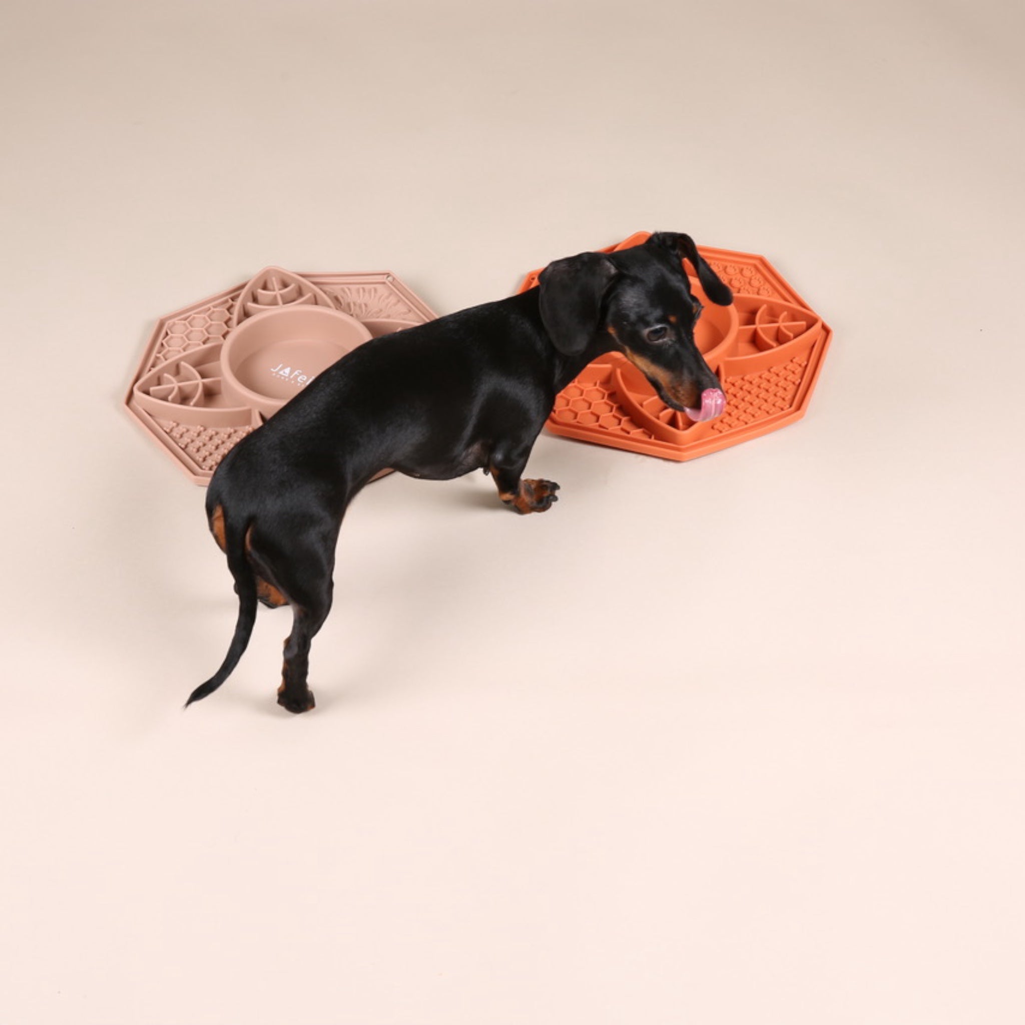 Hundenapf gegen Schlingen | Anti-Schling Napf | JAfein! Dogs & Style