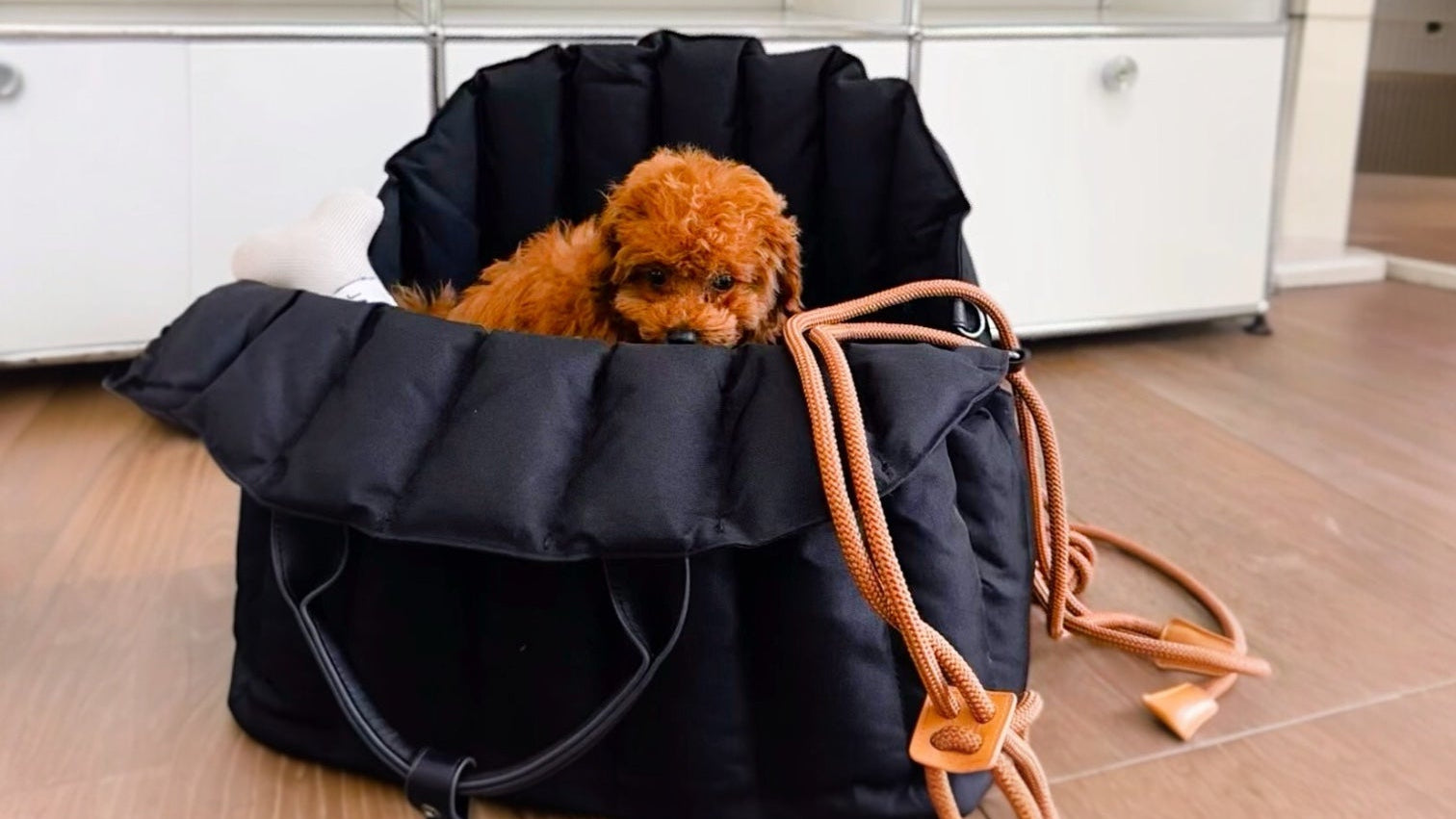JAfein! Hundetasche Car Paris Schwarz