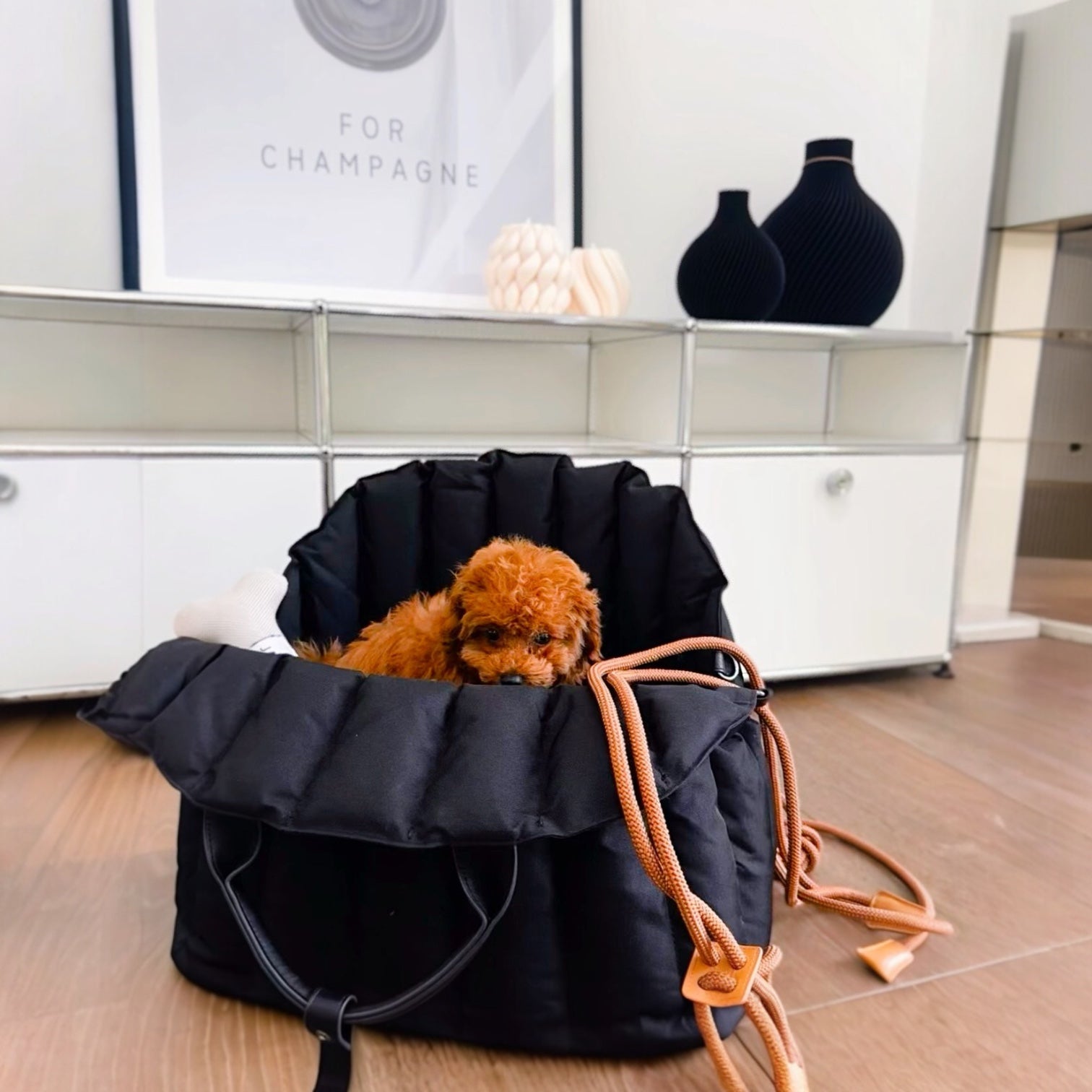 JAfein! Hundetasche Car Paris Schwarz