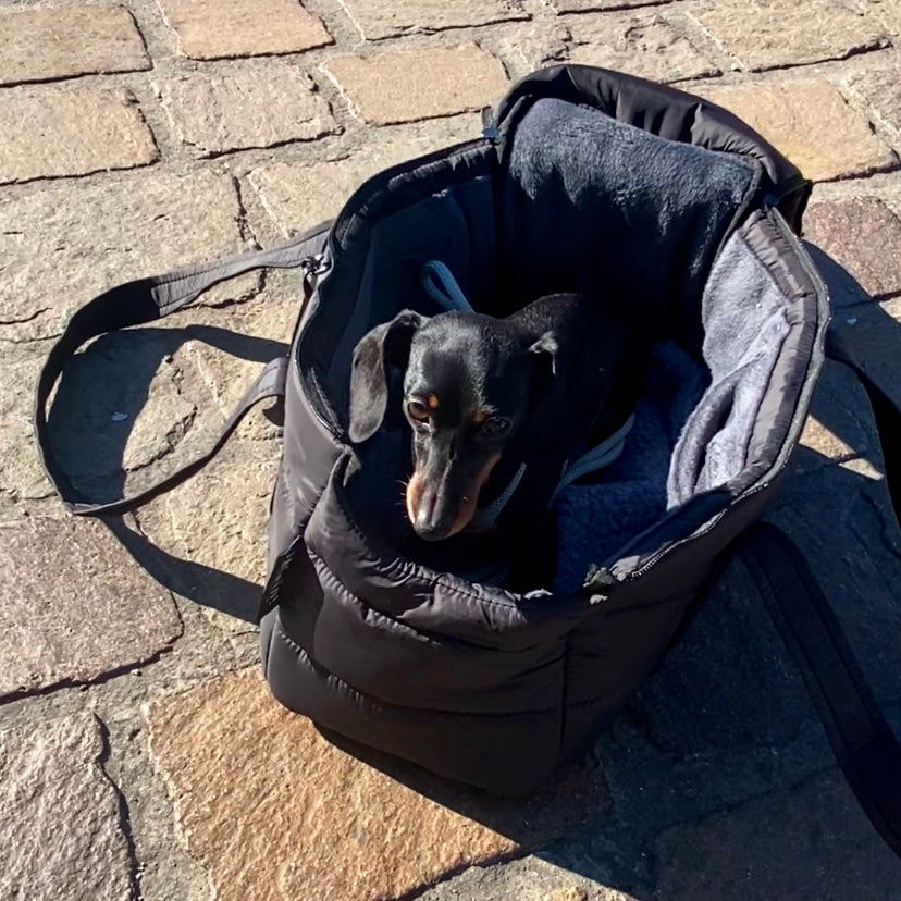 JAfein! Hundetasche Montblanc Schwarz