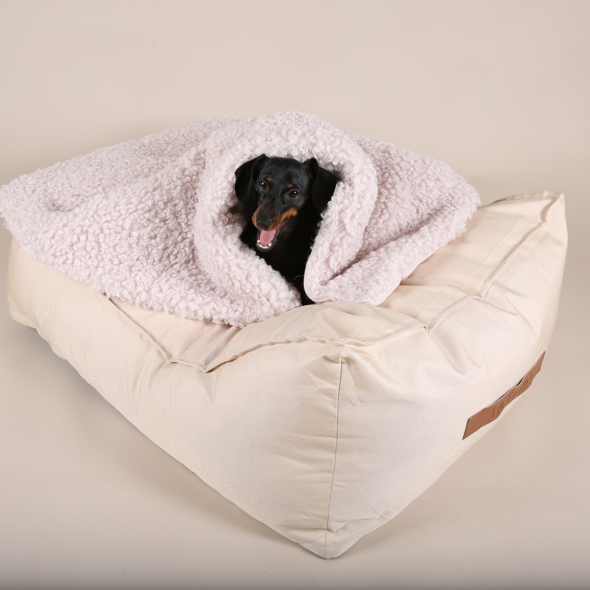 Le Divan Hundesofa | Luxus Hundebett | JAfein! Dogs & Style