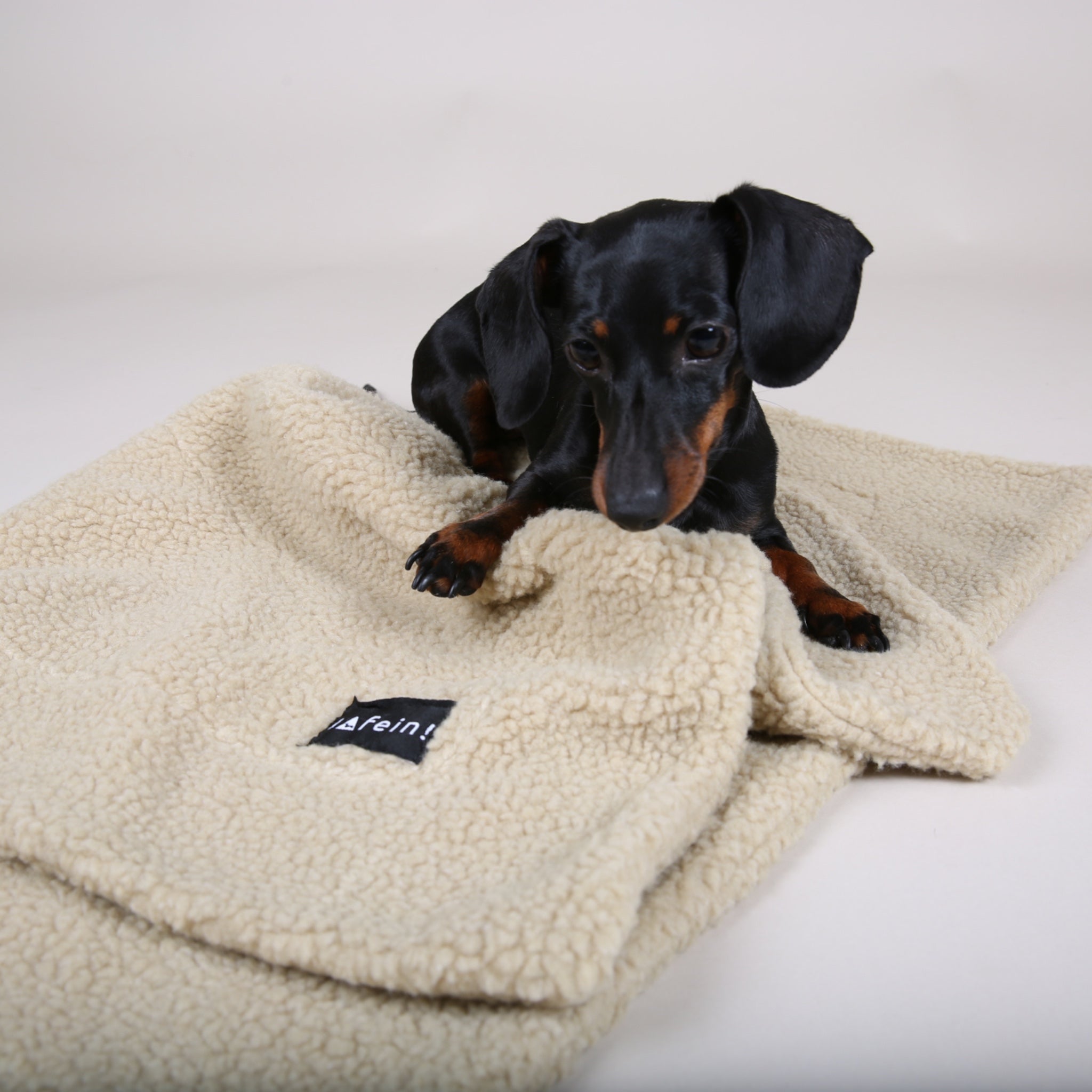 Hundereisedecke Bouclé Beige | Hundereisedecke | JAfein! Dogs & Style