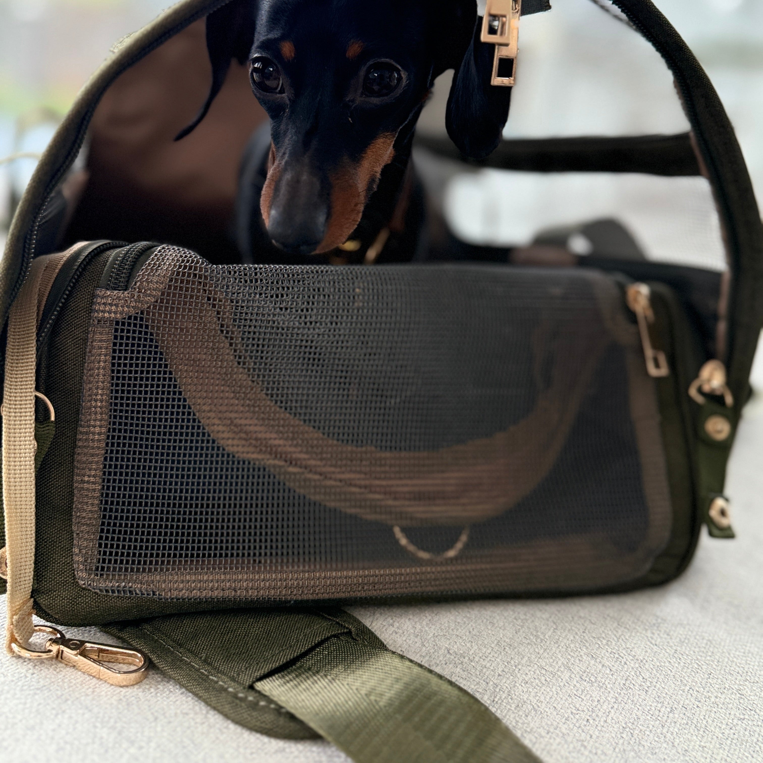 JAfein! Hundereisetasche Fly Bag Forest Olive