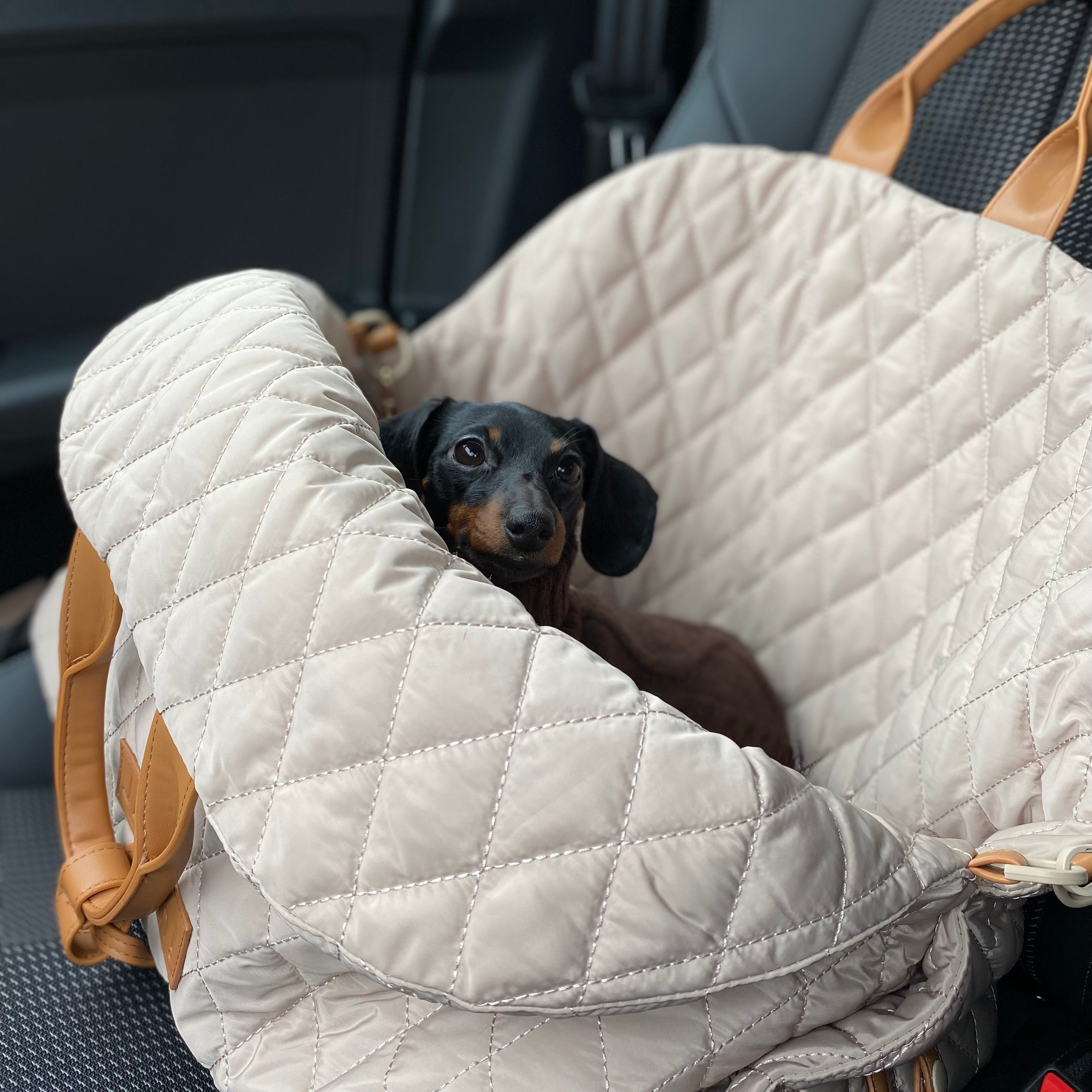 JAfein! Hundetasche Car Elegante Greige