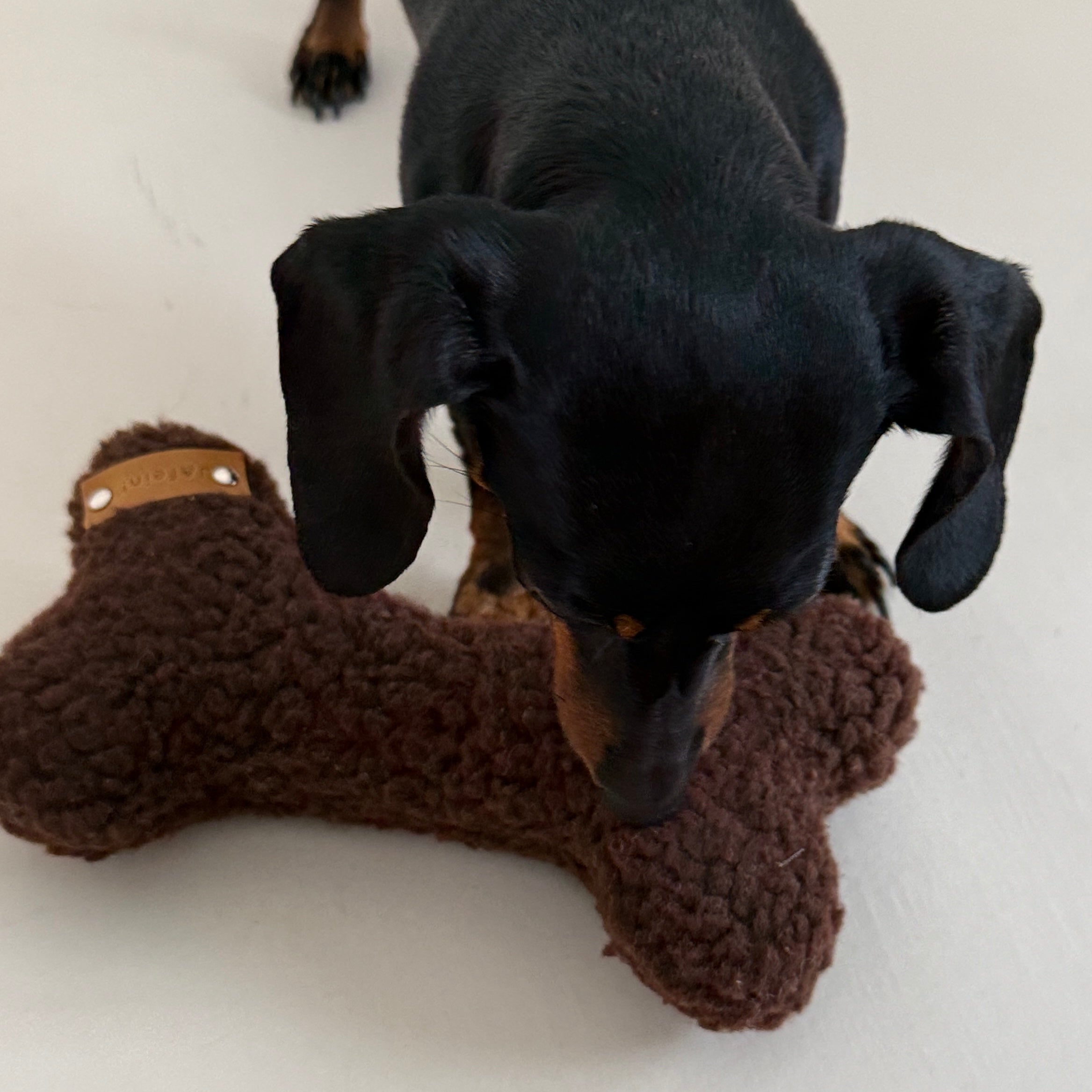JAfein! Spielknochen Teddy Chocolat