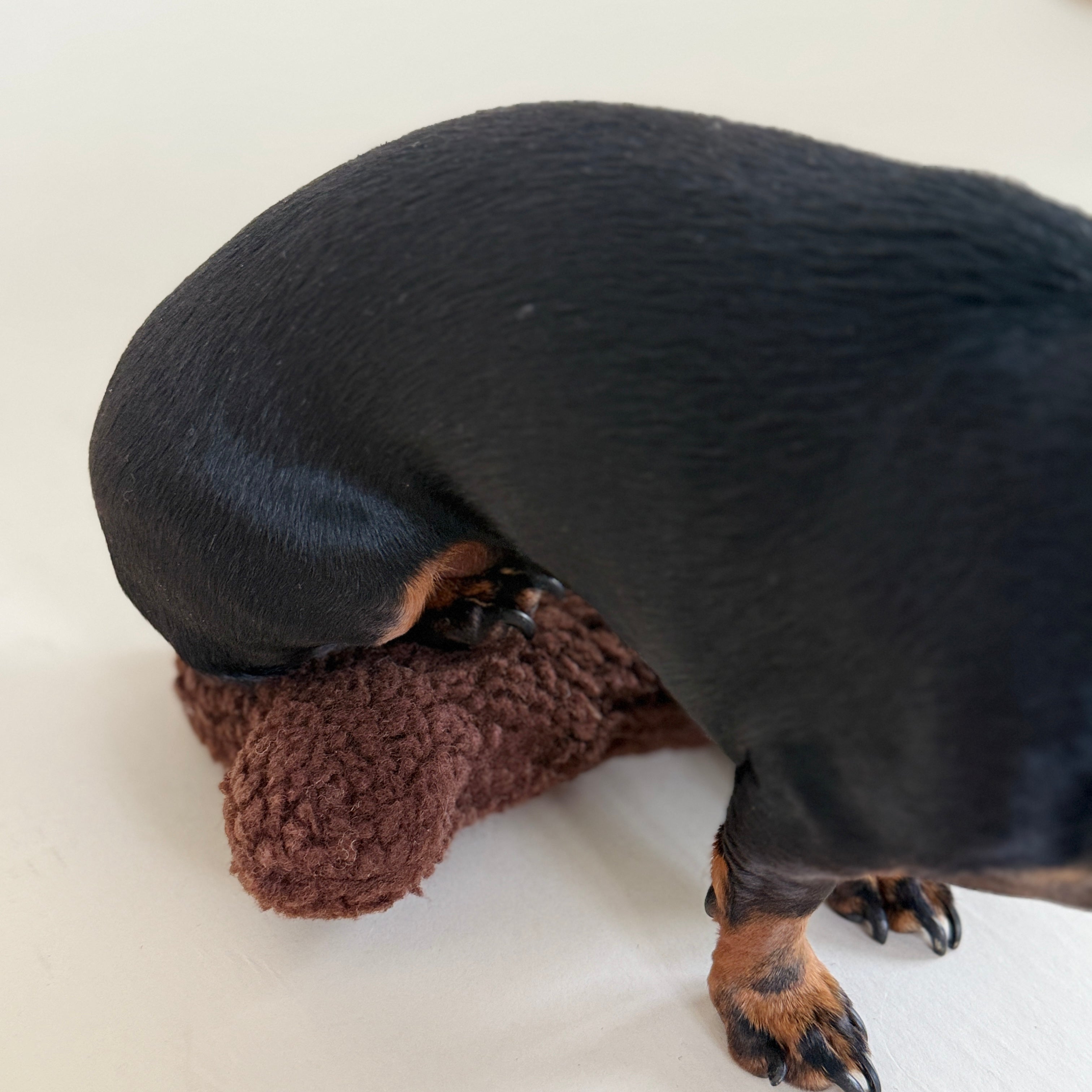 JAfein! Spielknochen Teddy Chocolat
