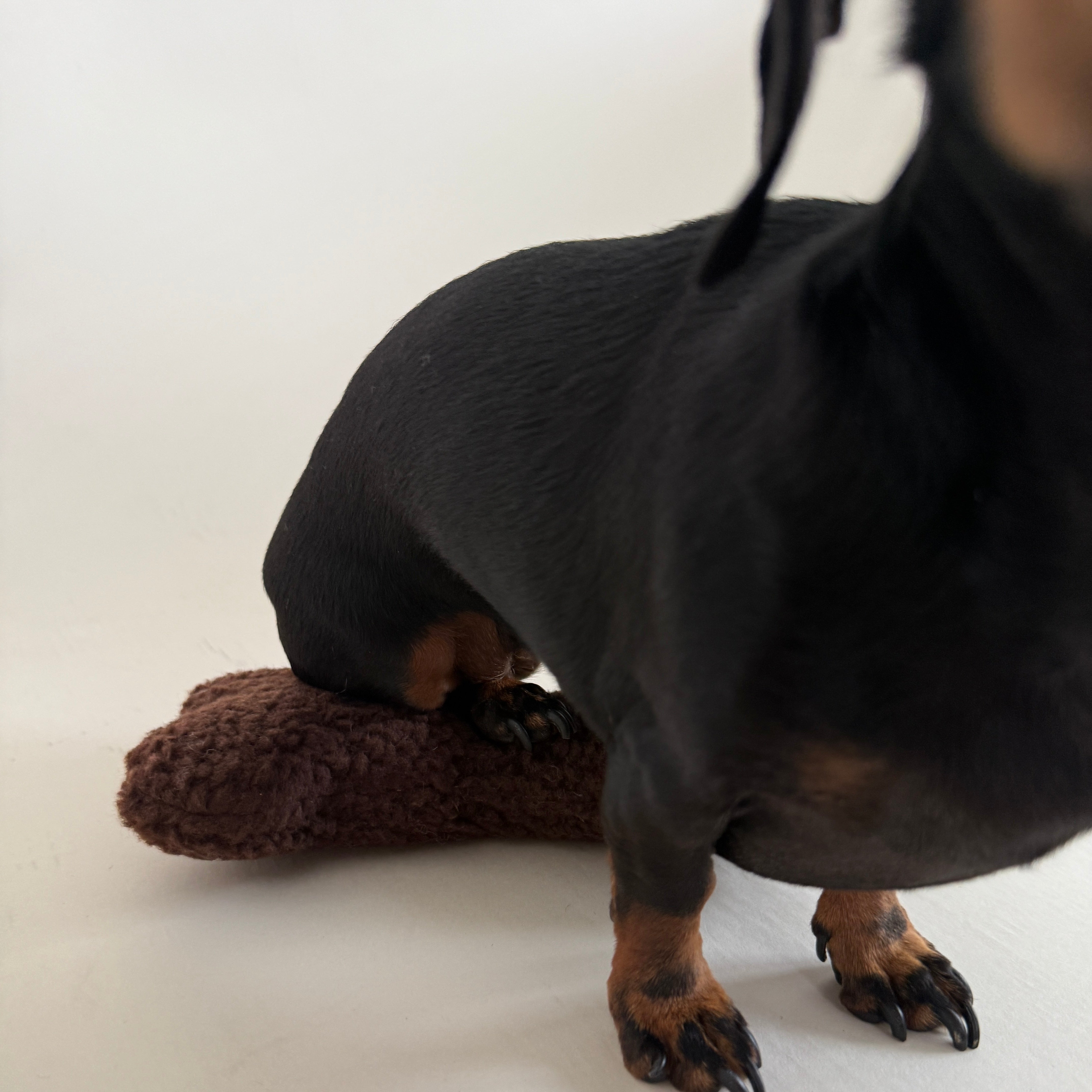JAfein! Spielknochen Teddy Chocolat