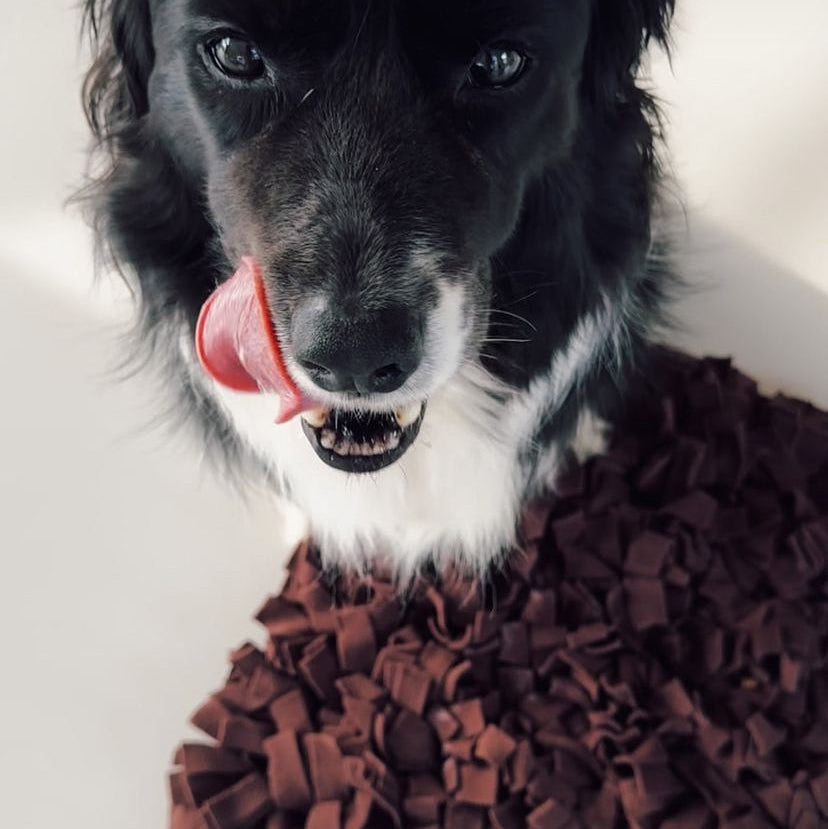 JAfein! Schnüffelteppich