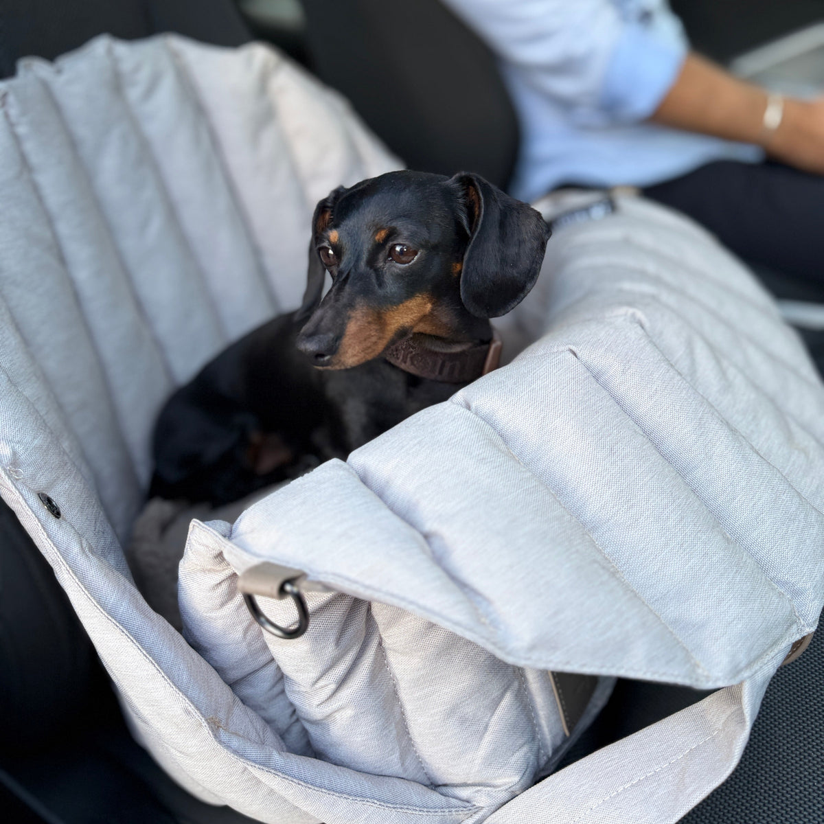 JAfein! Dog bag Car Paris
