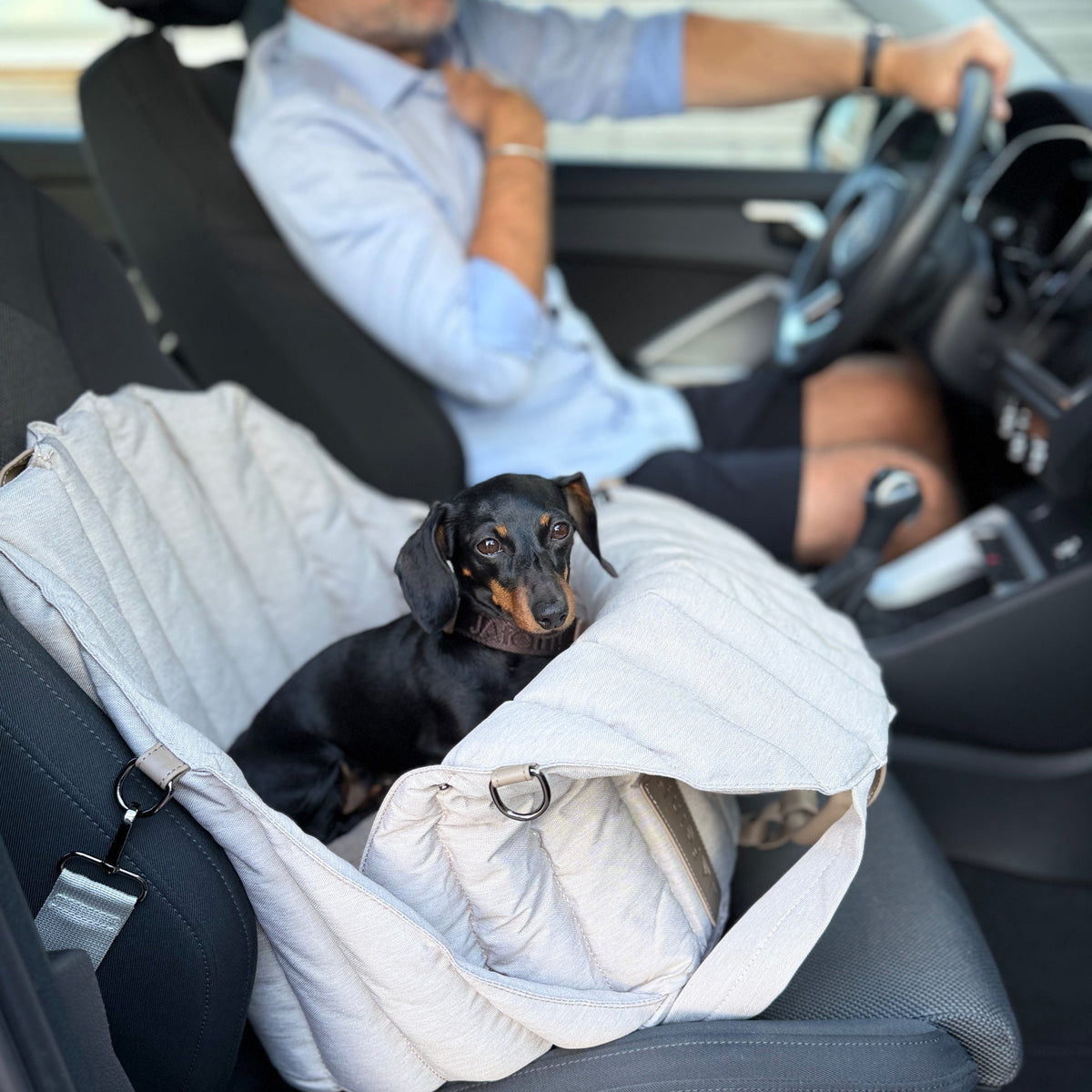JAfein! Dog bag Car Paris