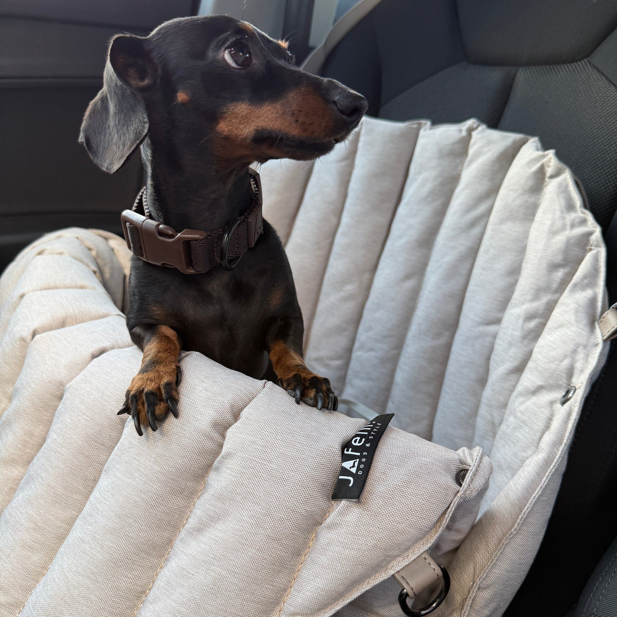 JAfein! Dog bag Car Paris