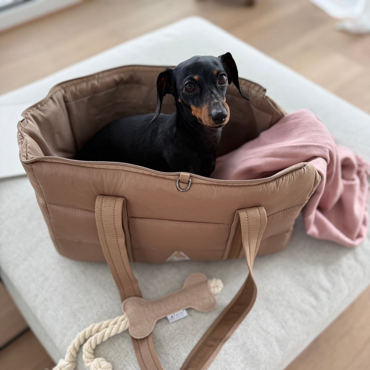 JAfein! Hundetasche Montblanc Champagne