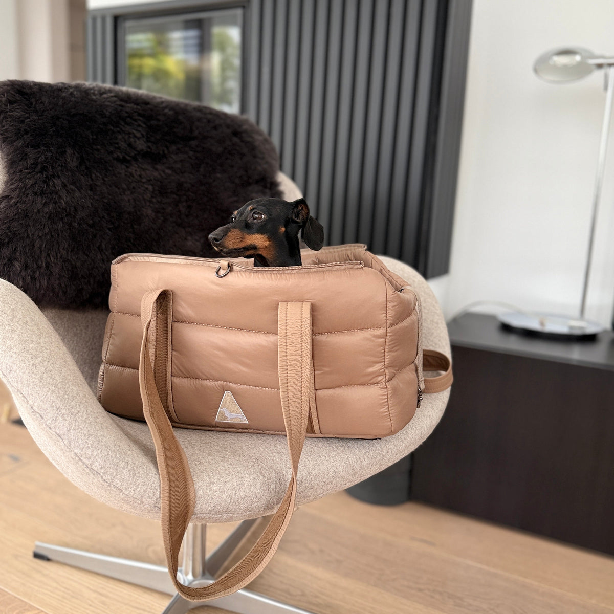 JAfein! Hundetasche Montblanc Champagne