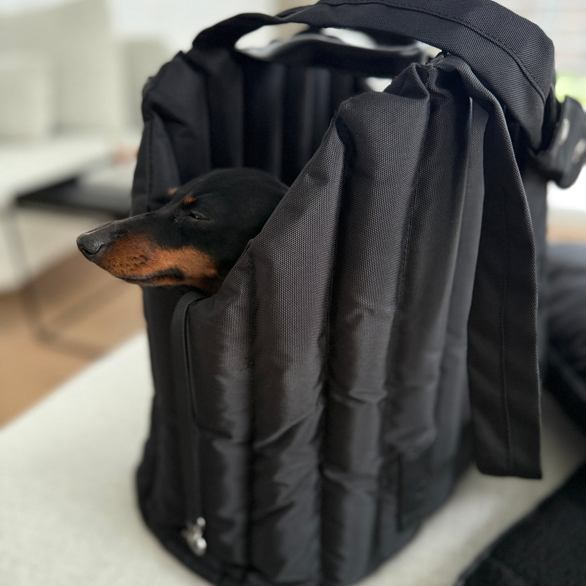 JAfein! Hundetragetasche Lille Li Maison Schwarz
