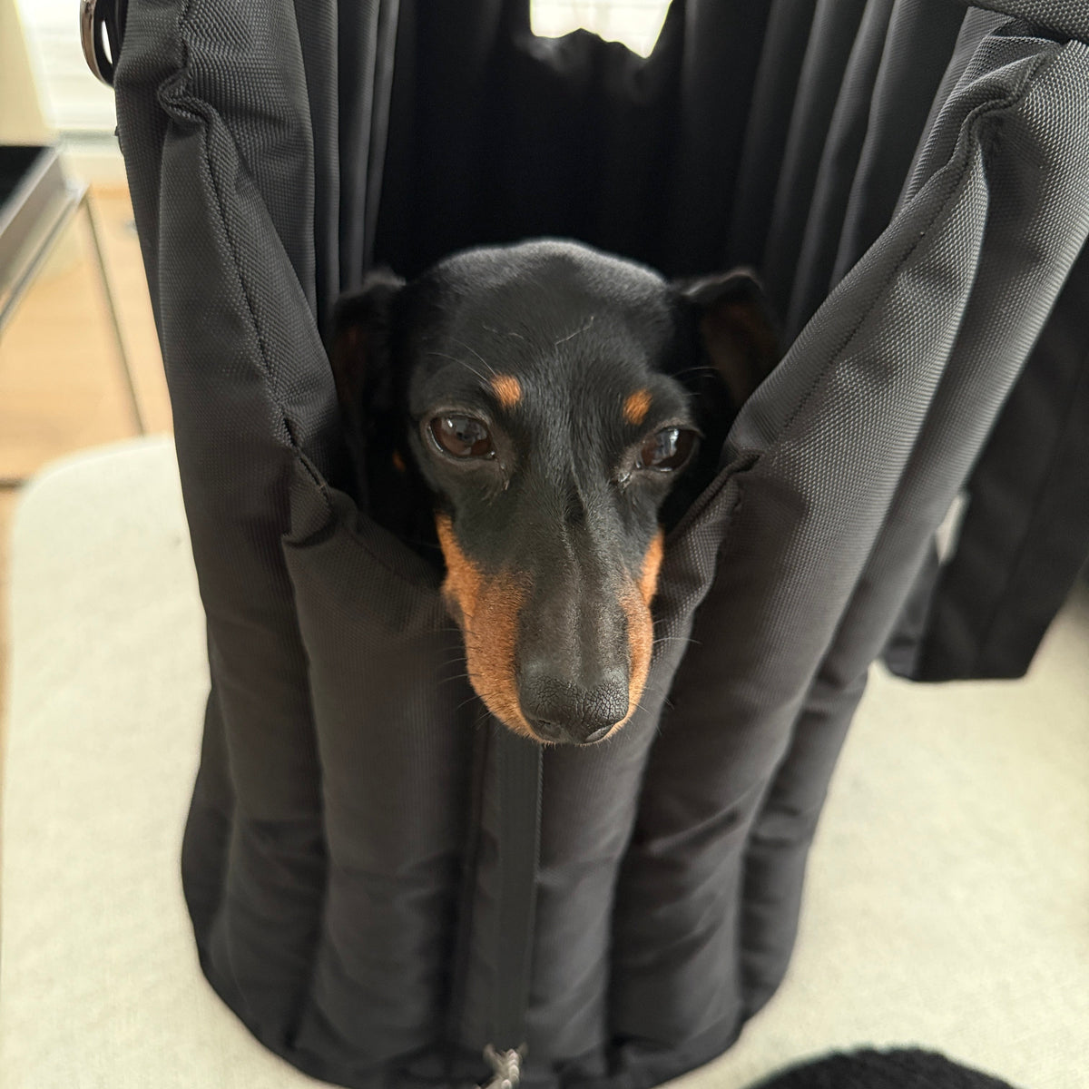 JAfein! Hundetragetasche Lille Li Maison Schwarz