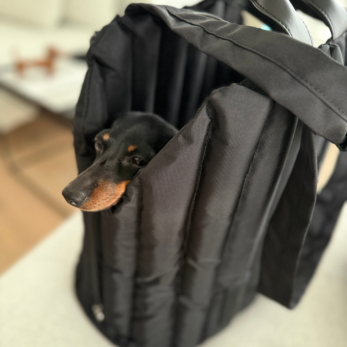 JAfein! Hundetragetasche Lille Li Maison Schwarz
