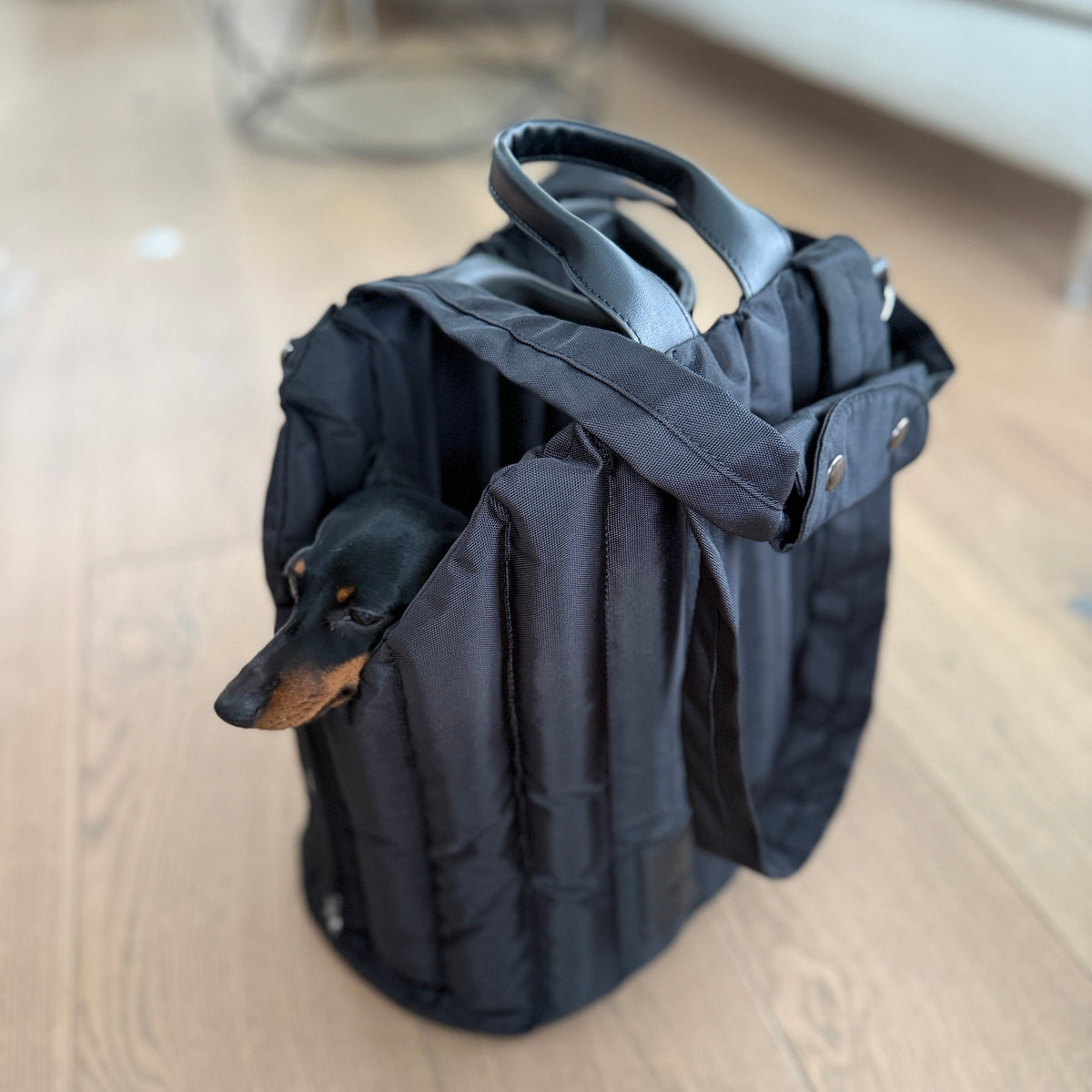JAfein! Hundetragetasche Lille Li Maison Schwarz