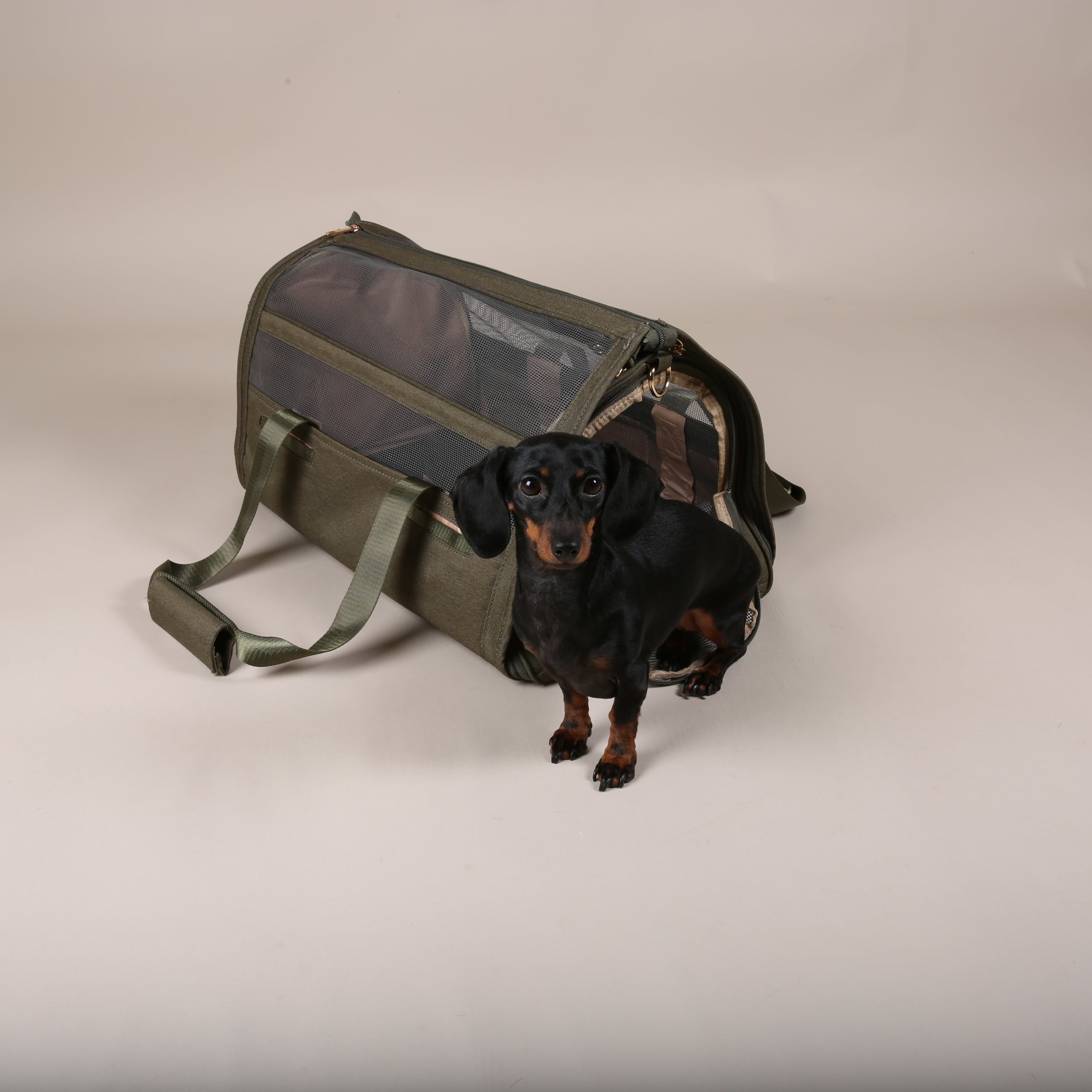 Excellent! Fly Bag Forest Olive dog travel bag