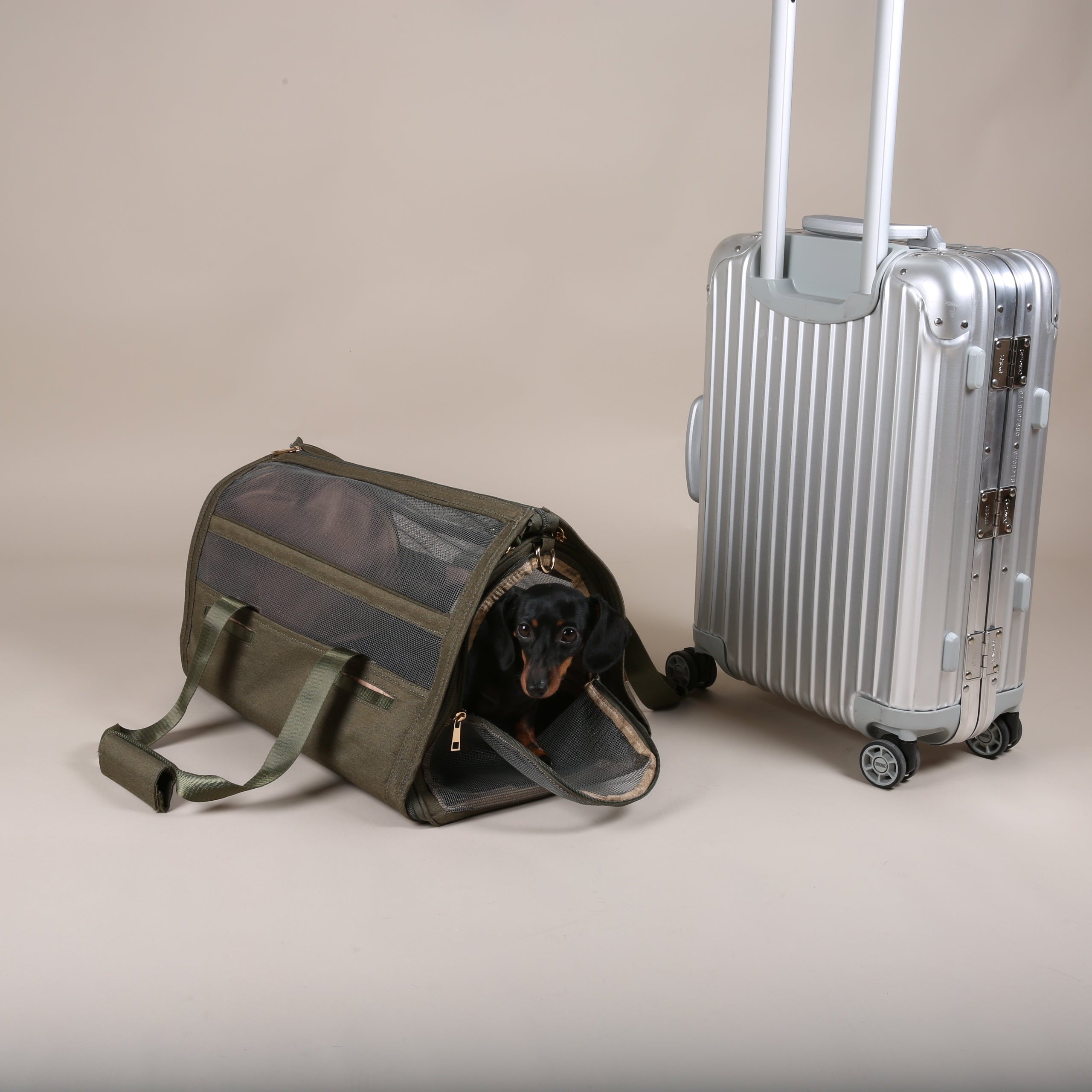 Excellent! Fly Bag Forest Olive dog travel bag