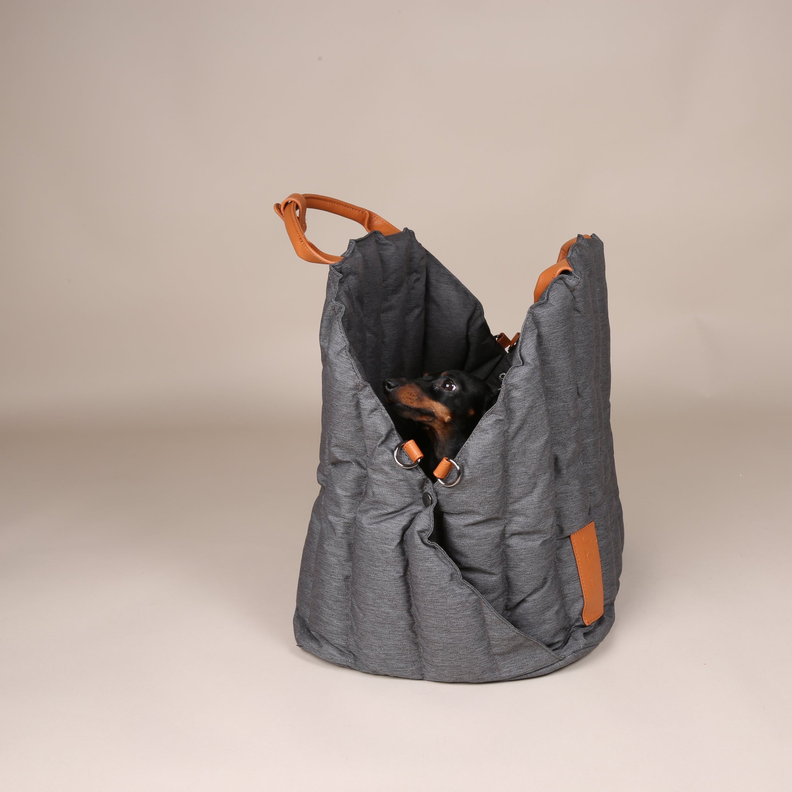 JAfein! Hundetasche Car Paris Grau