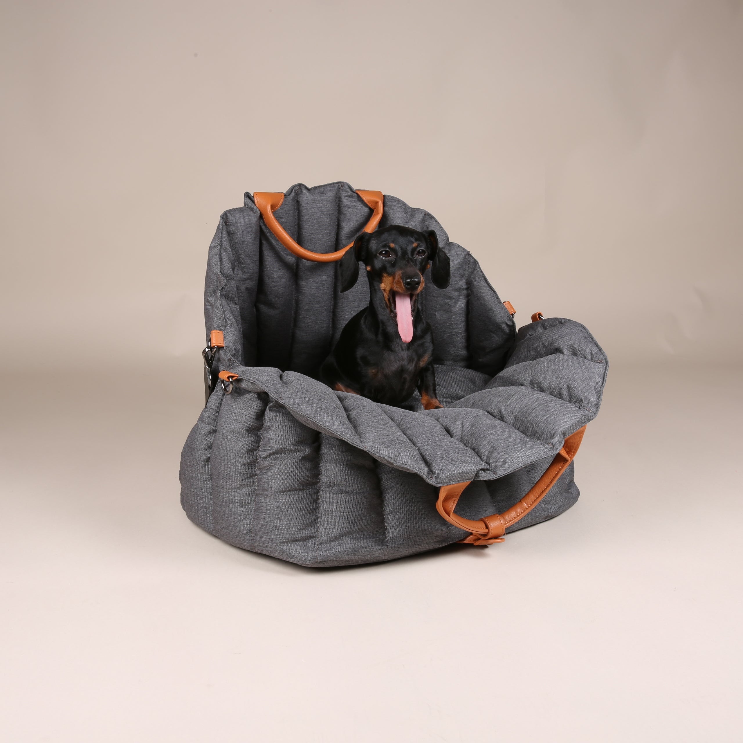 JAfein! Hundetasche Car Paris Grau